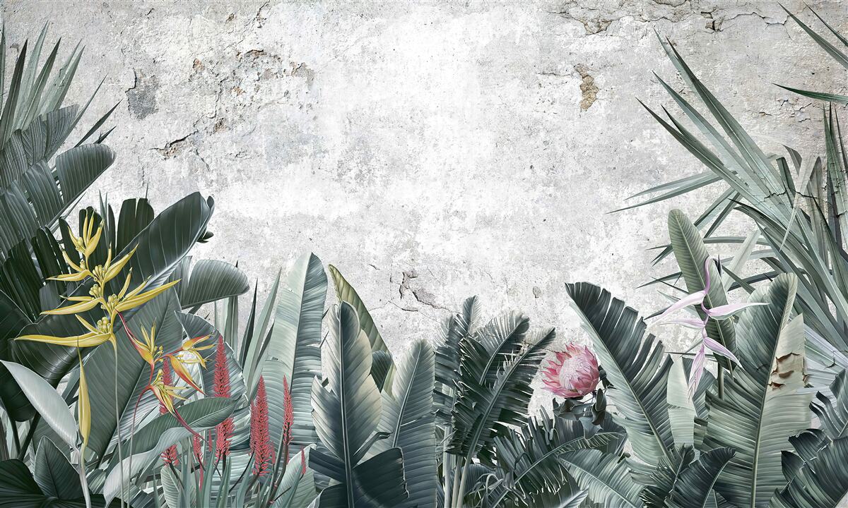 Papier peint divers espaces verts tropicaux