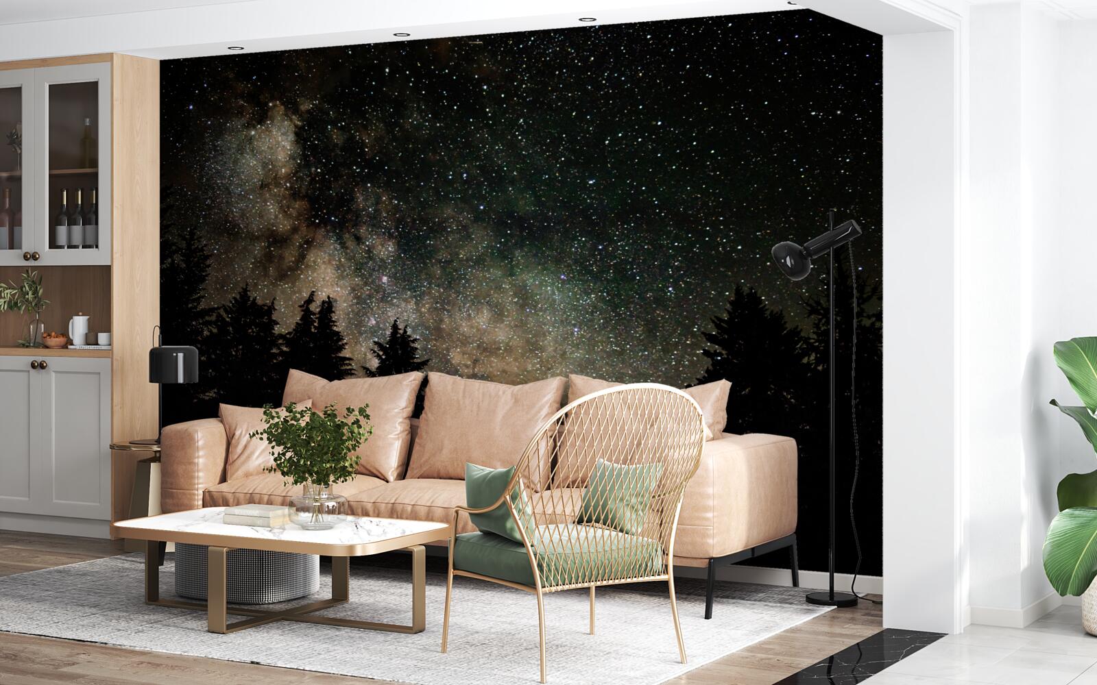 Papier peint la forêt la nuit et le ciel étoilé