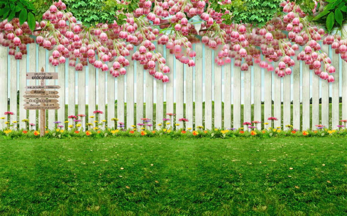 Papier peint des fleurs roses tombent en cascade sur une clôture blanche