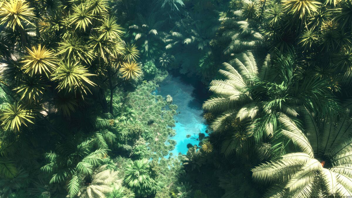 Papier peint vue panoramique du feuillage et de la surface de l'eau vue d'en haut