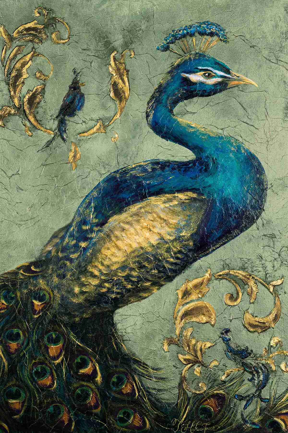 Papier peint paon d'une beauté étonnante