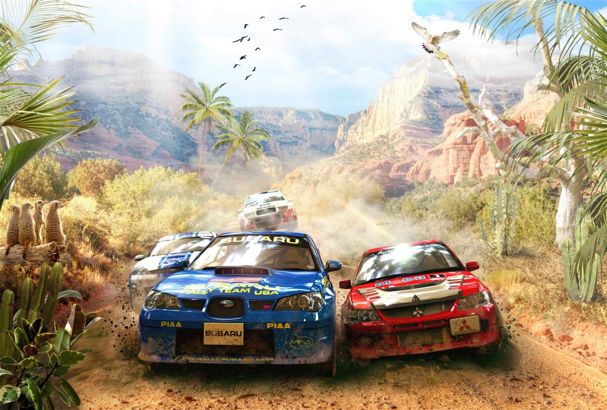 Papier peint course dans le désert