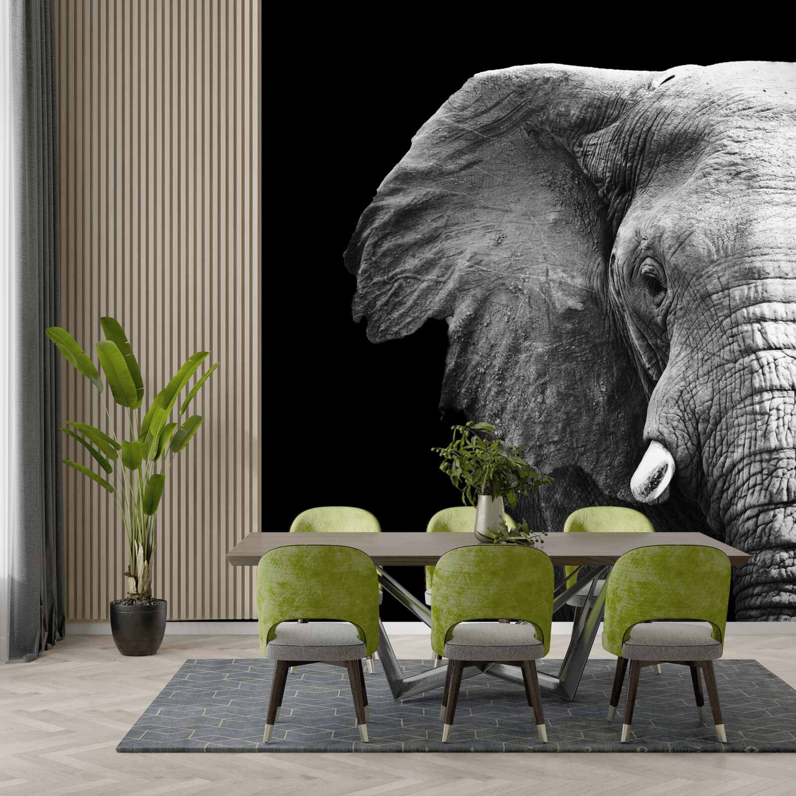 Papier peint gros plan d'un éléphant sur fond noir