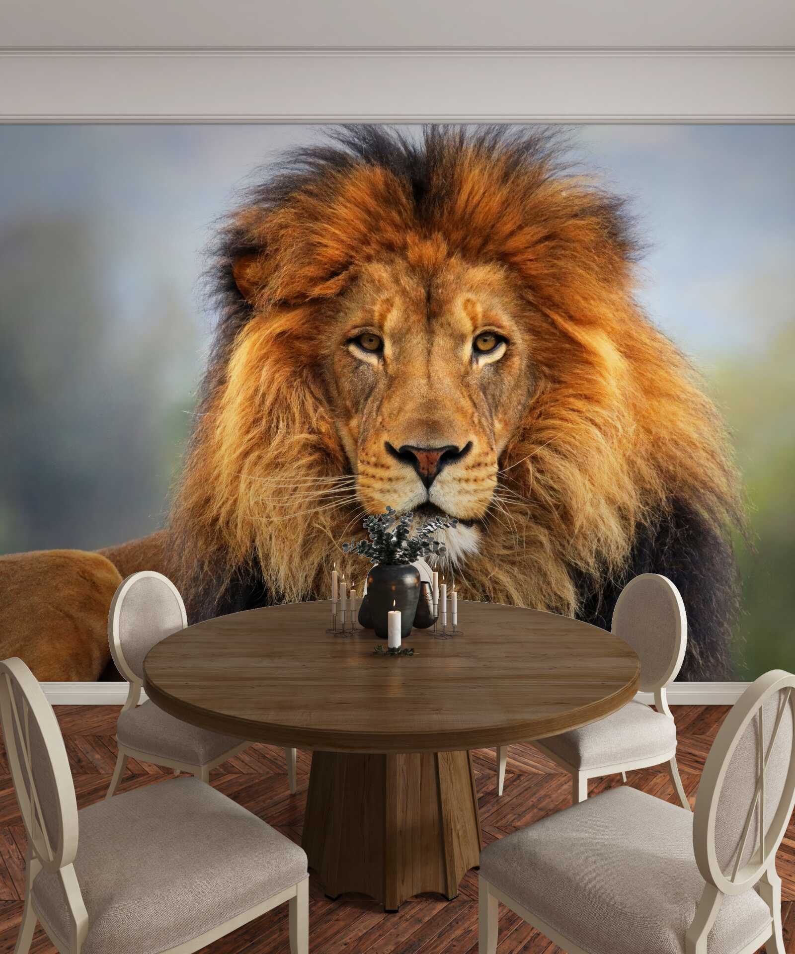 Papier peint image d'un lion