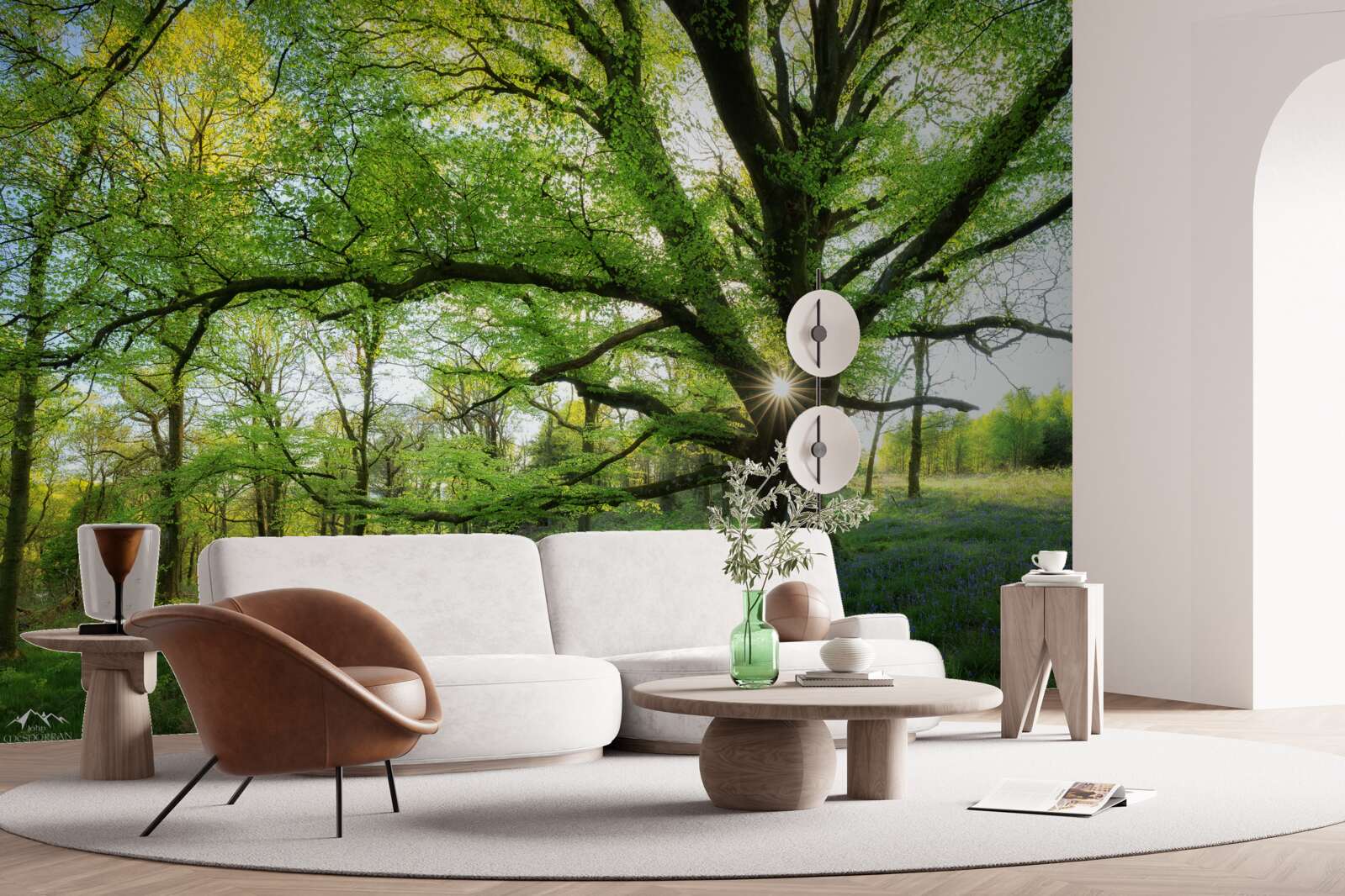 Papier peint belle forêt verte