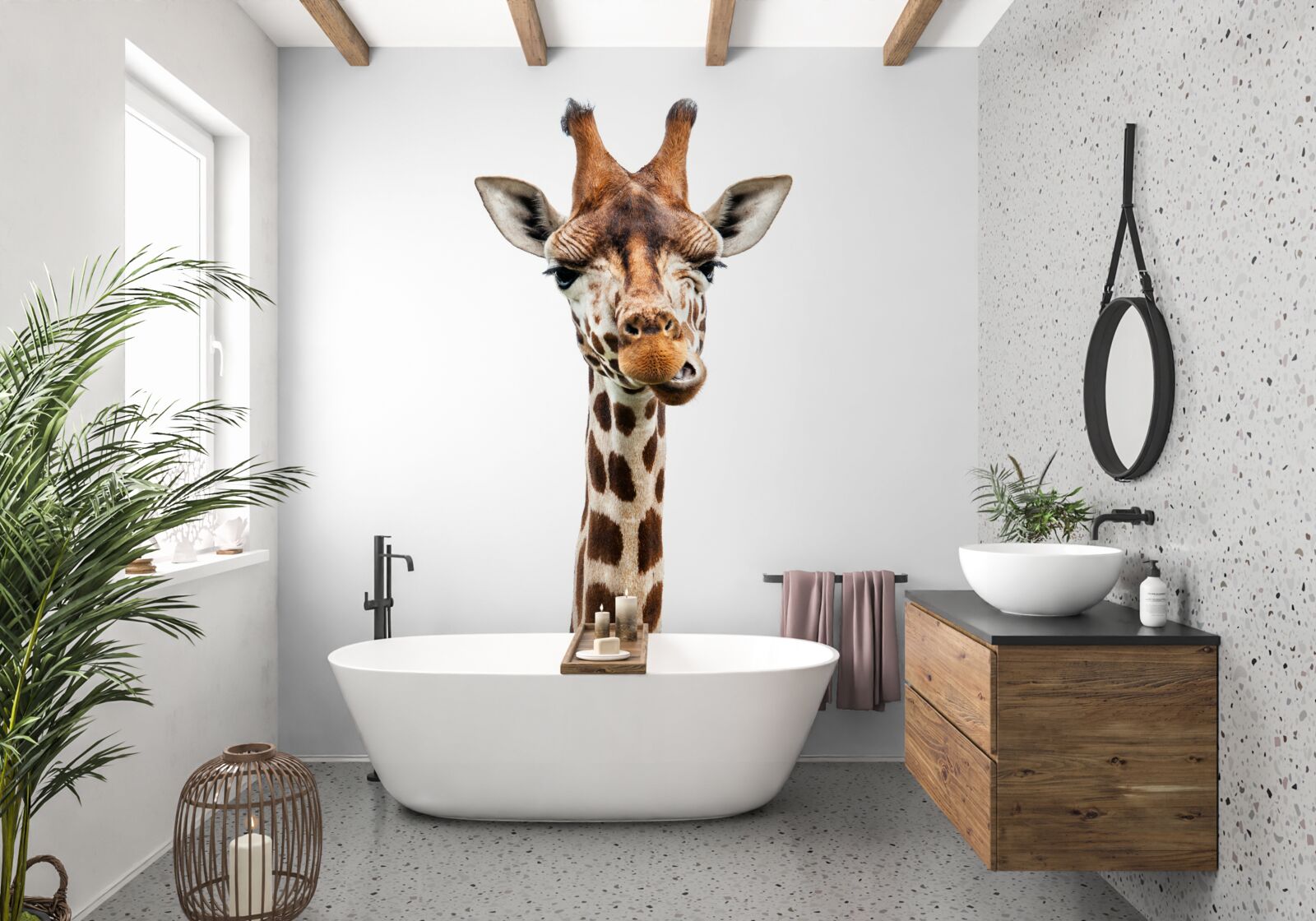 Papier peint expression inhabituelle sur le visage d'une girafe