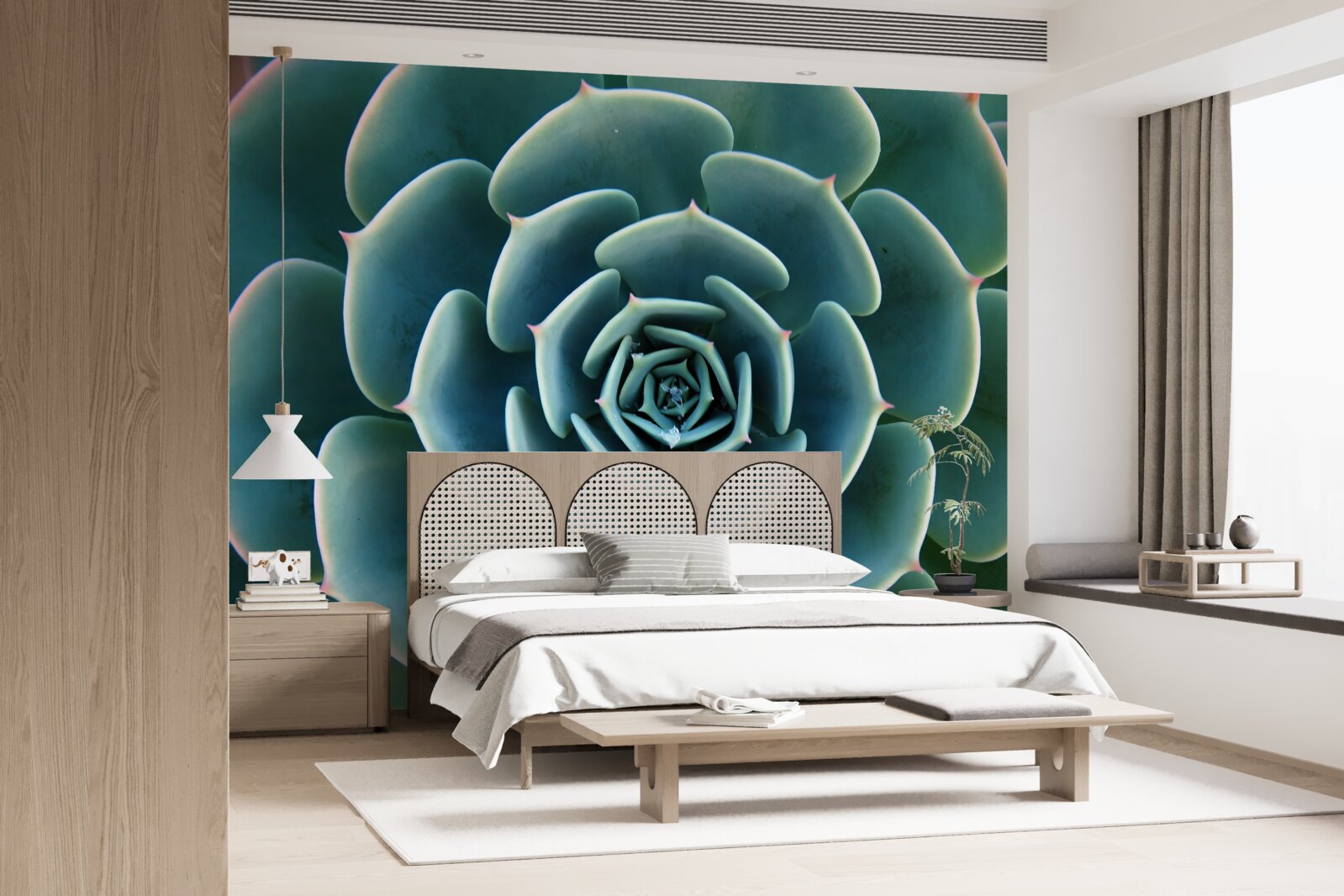 Papier peint image en gros plan d'une succulente