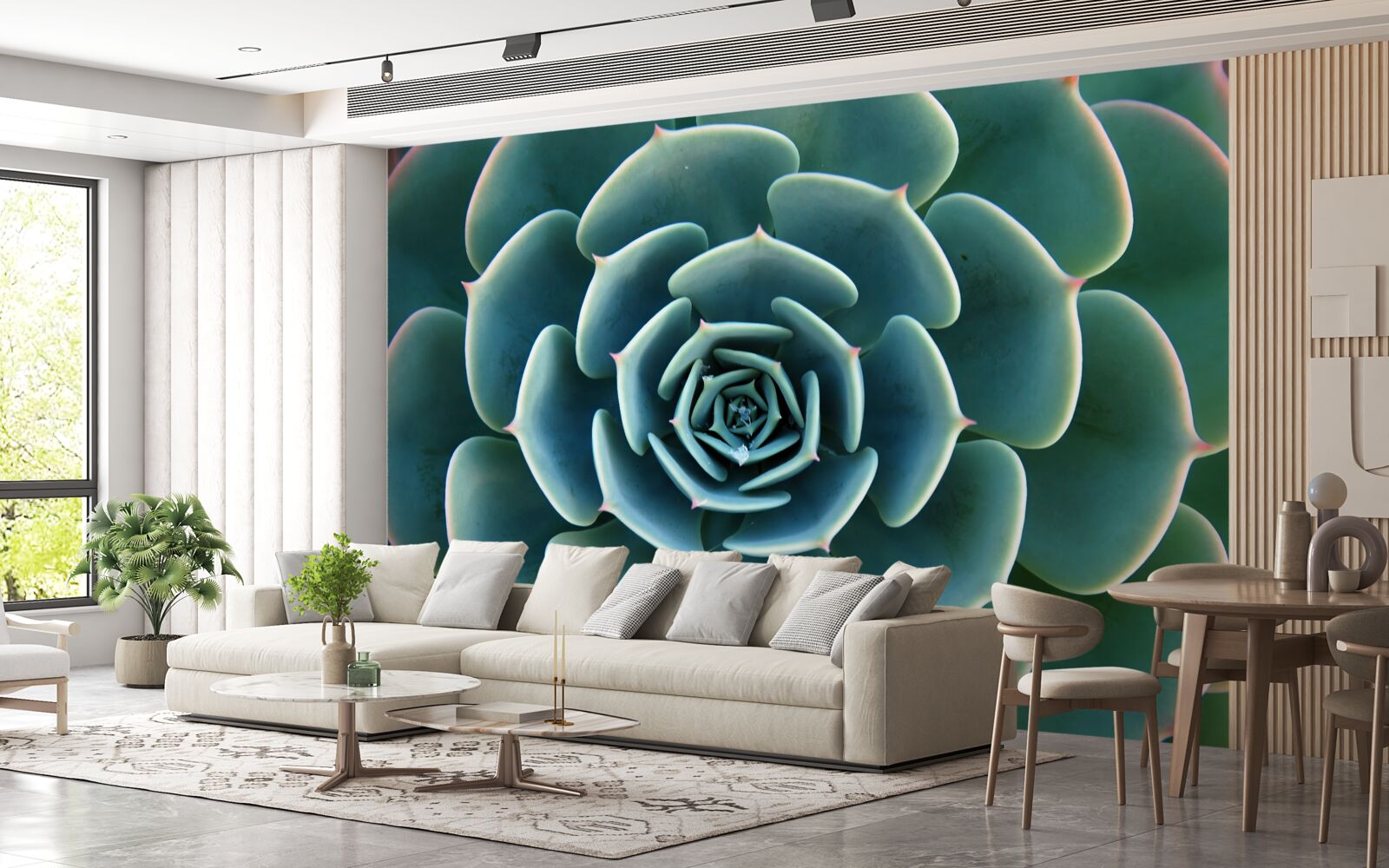 Papier peint image en gros plan d'une succulente