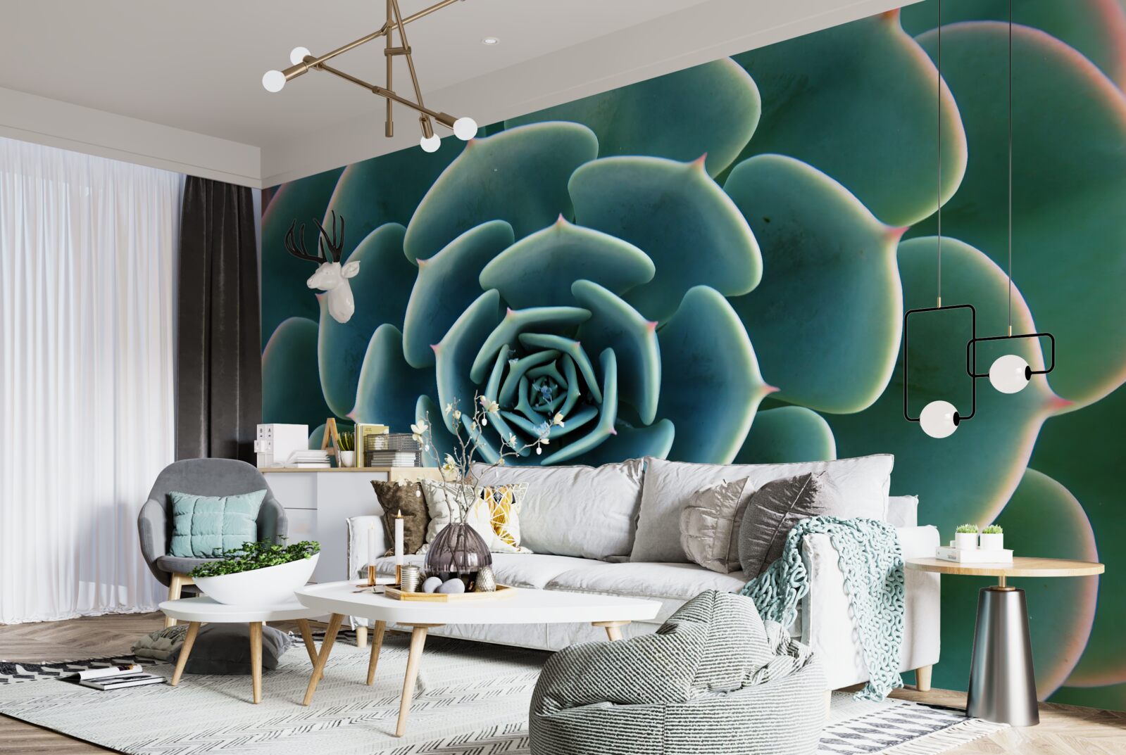 Papier peint image en gros plan d'une succulente