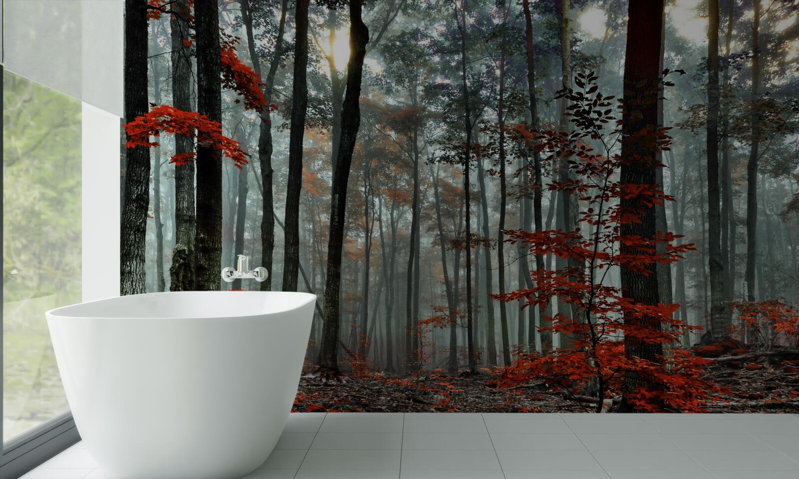 Papier peint forêt sans feuilles en automne