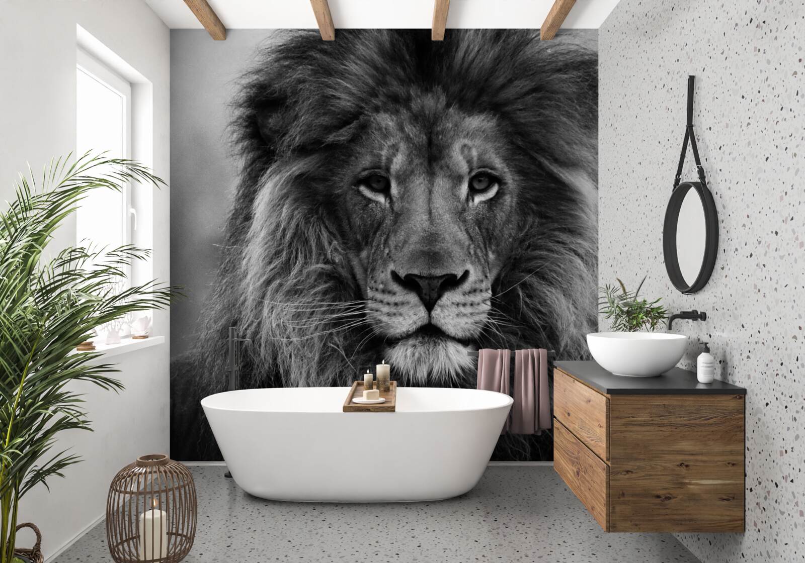 Papier peint image d'un lion adulte