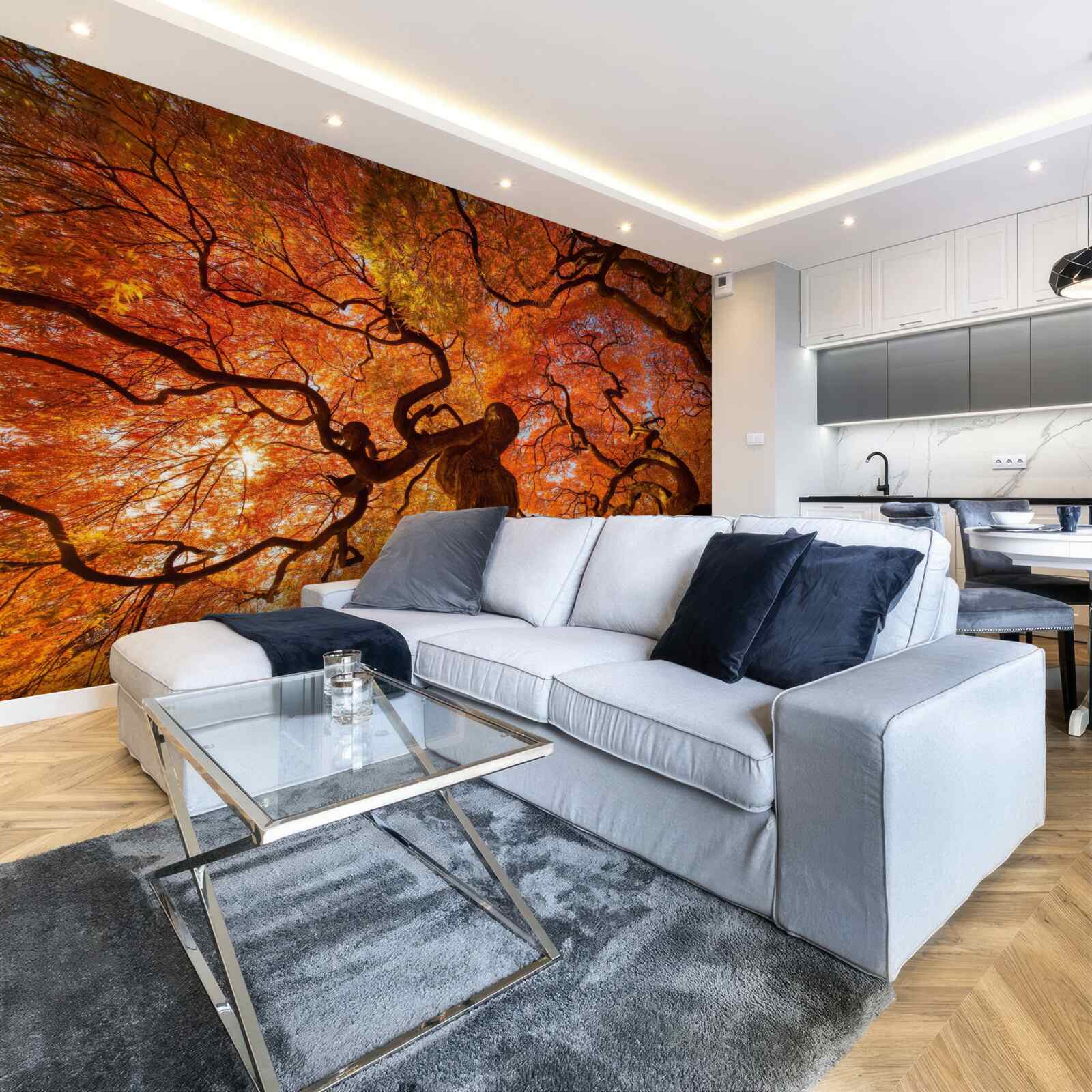 Papier peint Vue du bas de l'arbre en automne