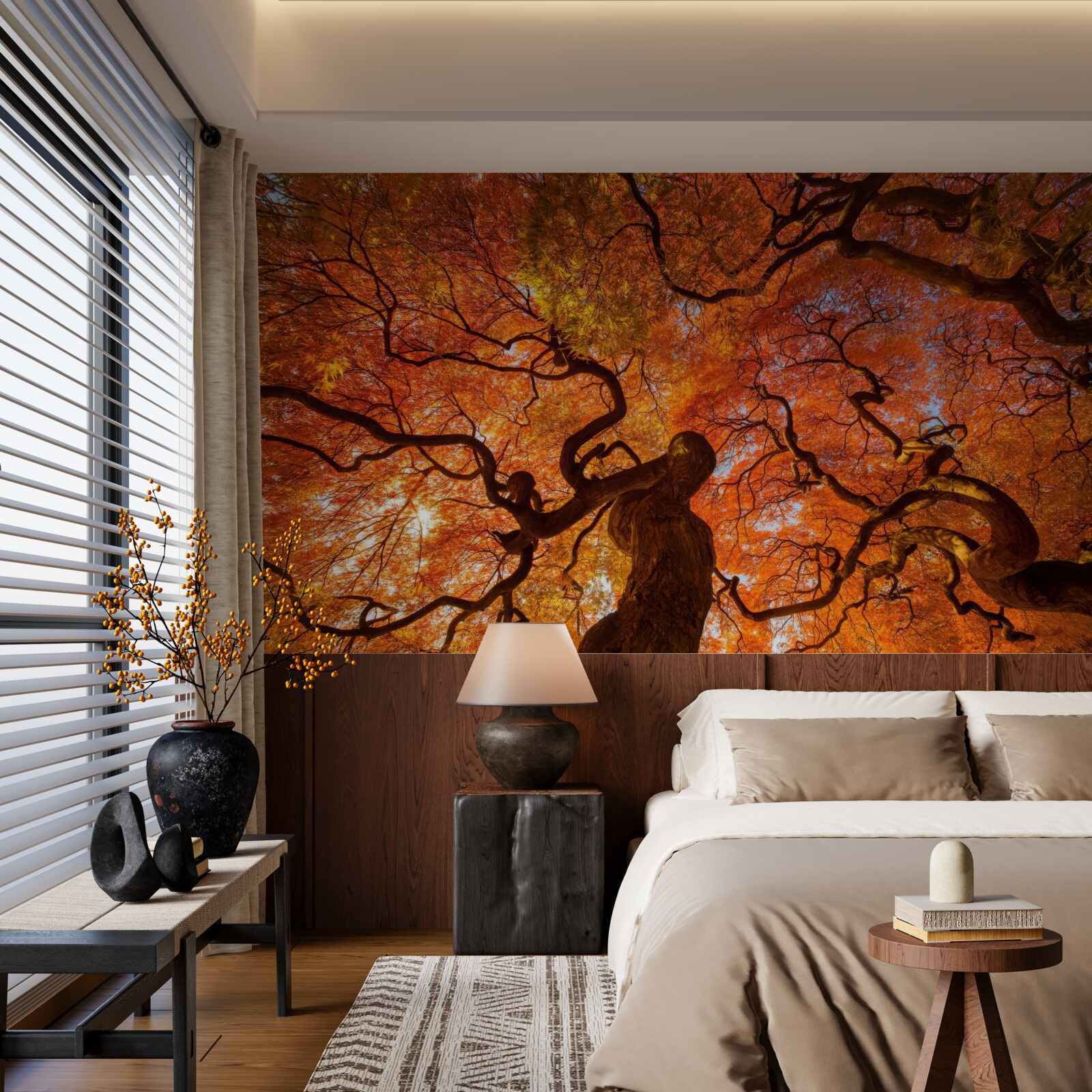 Papier peint Vue du bas de l'arbre en automne