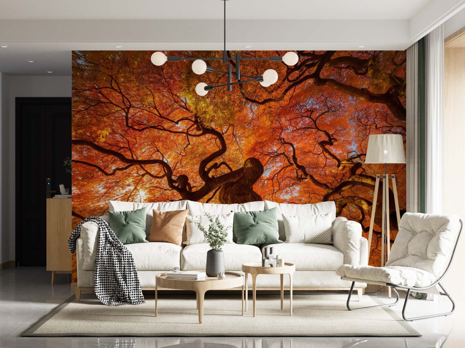 Papier peint Vue du bas de l'arbre en automne