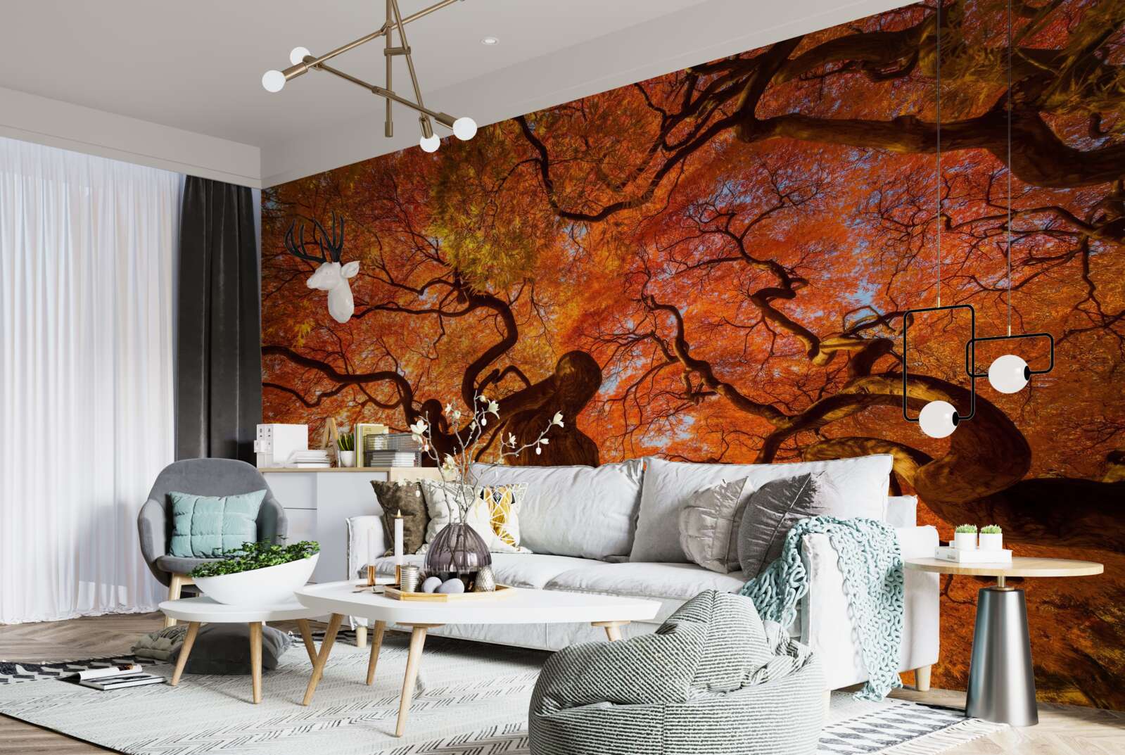 Papier peint Vue du bas de l'arbre en automne