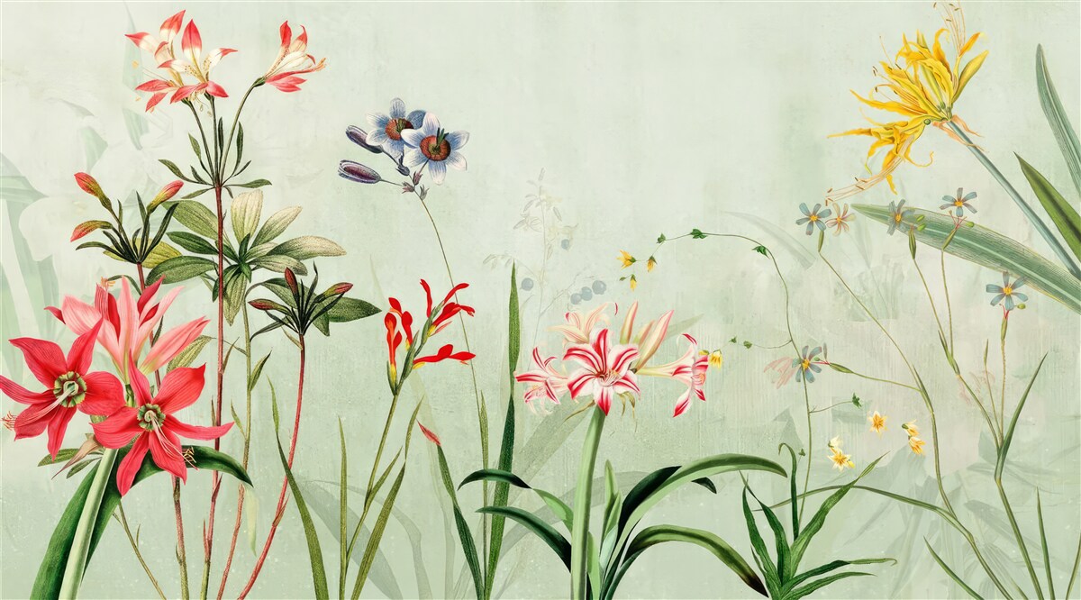 Papier peint la brume enveloppait les fleurs