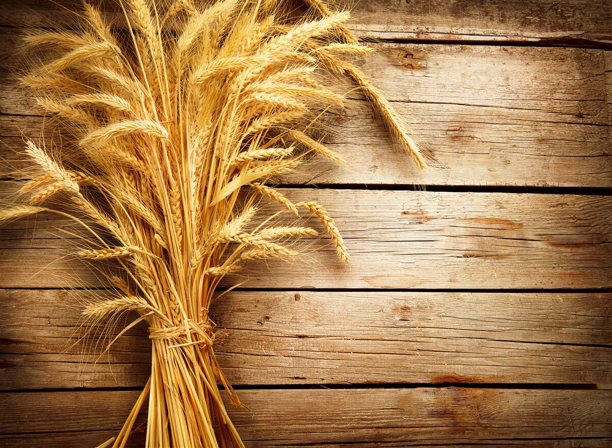 Papier peint botte d'épis de blé