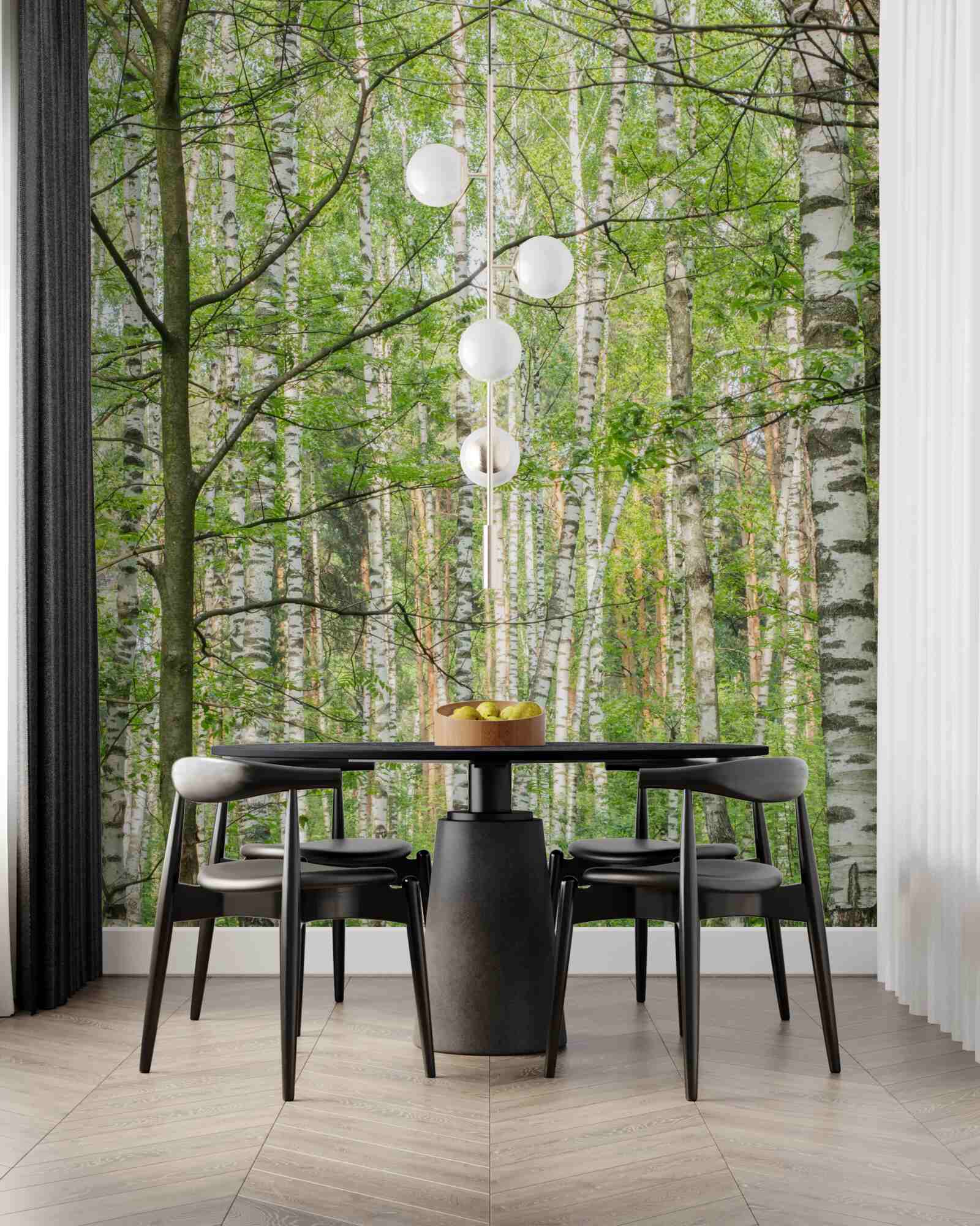 Papier peint forêt densément couverte de bouleaux