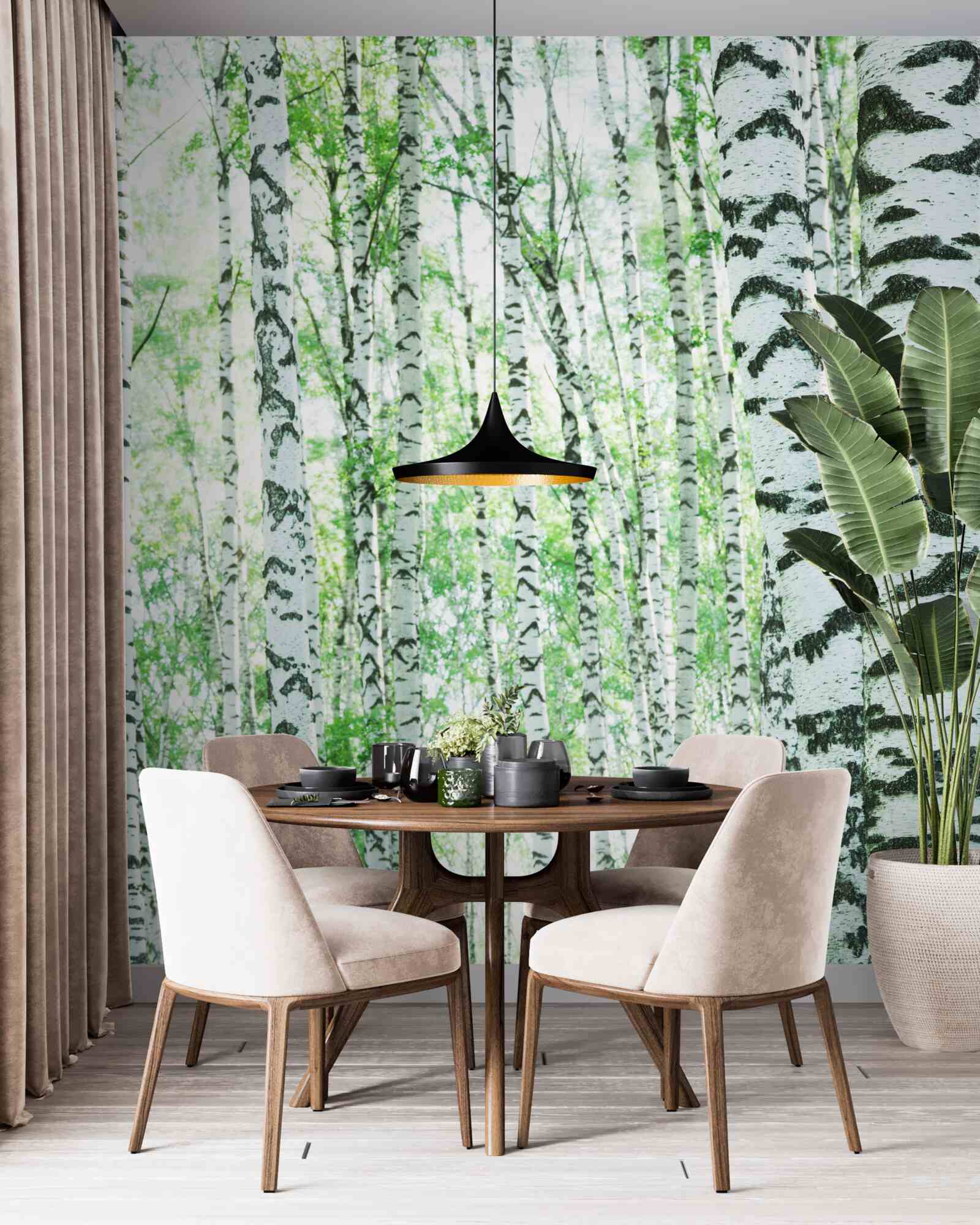 Papier peint bouleaux légers