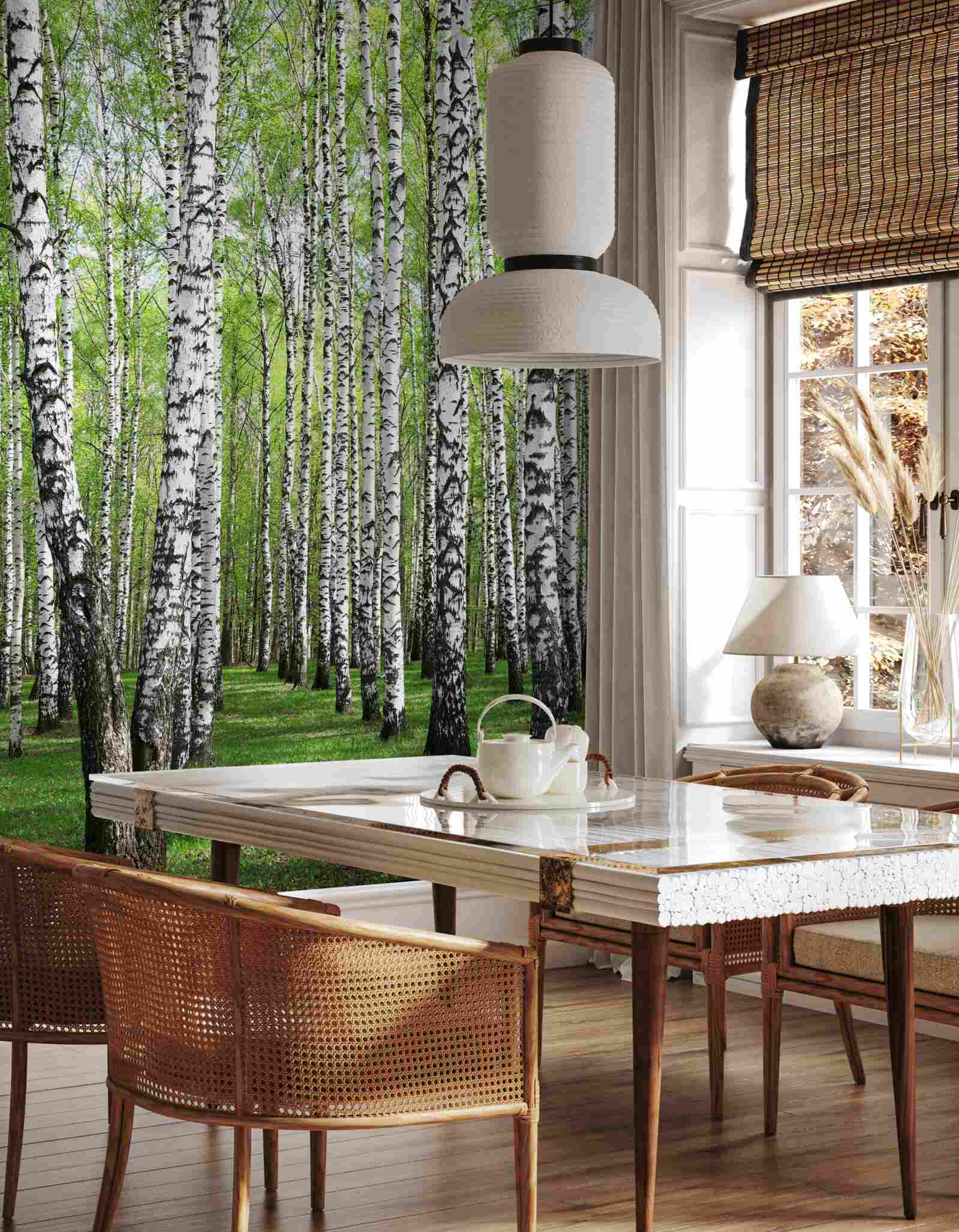 Papier peint belle forêt de bouleaux