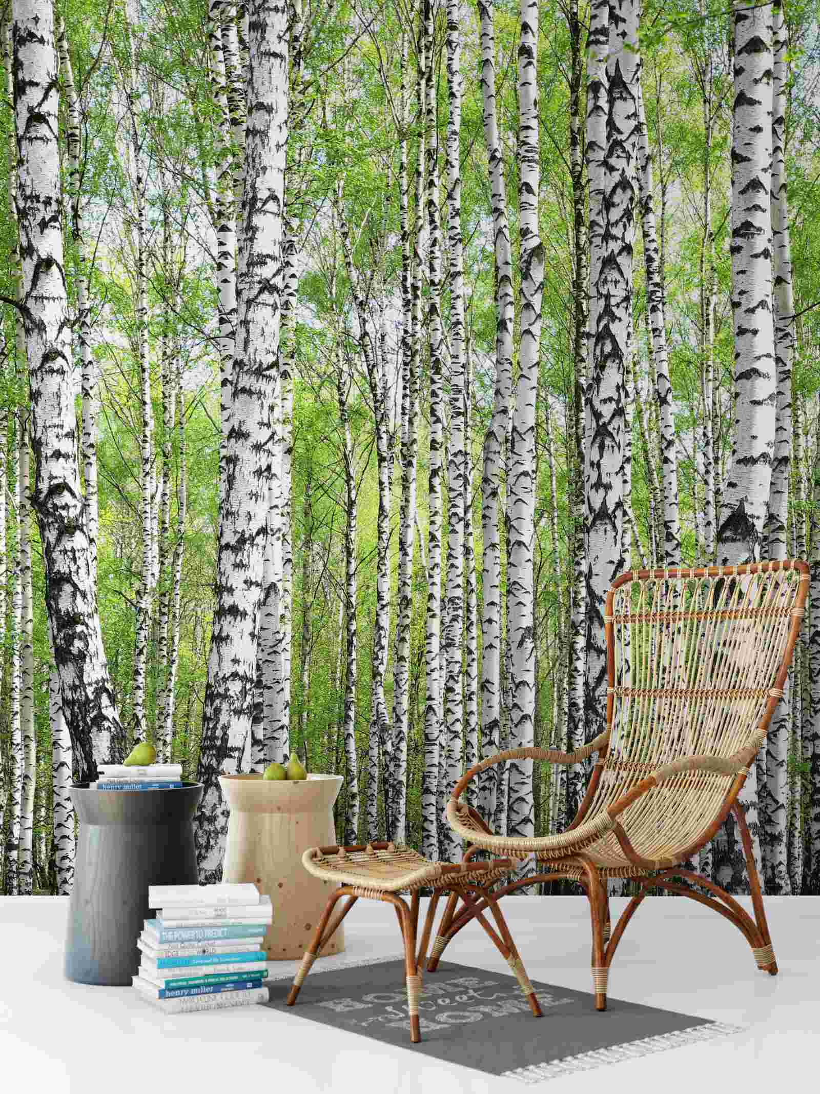 Papier peint belle forêt de bouleaux