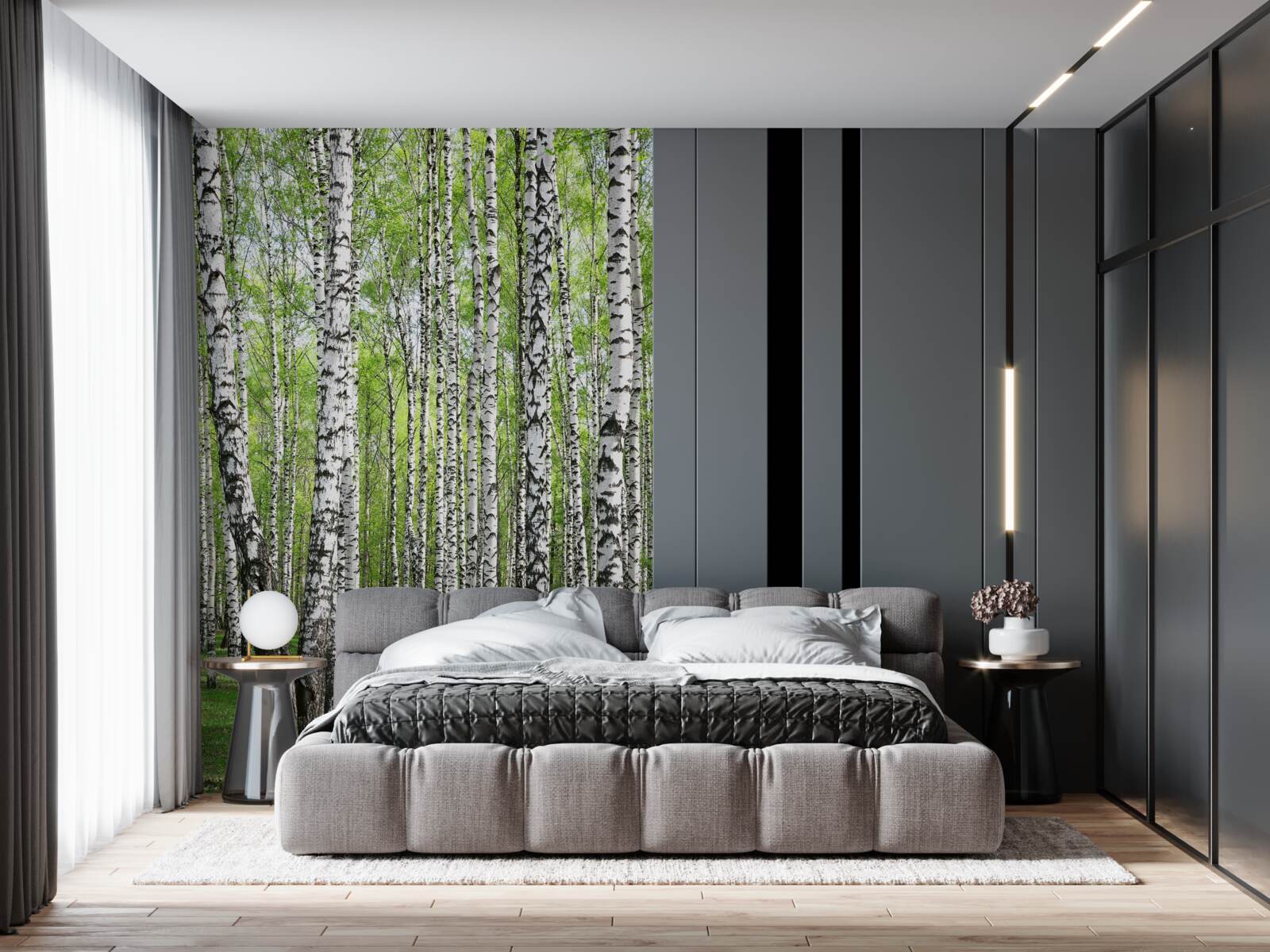 Papier peint belle forêt de bouleaux