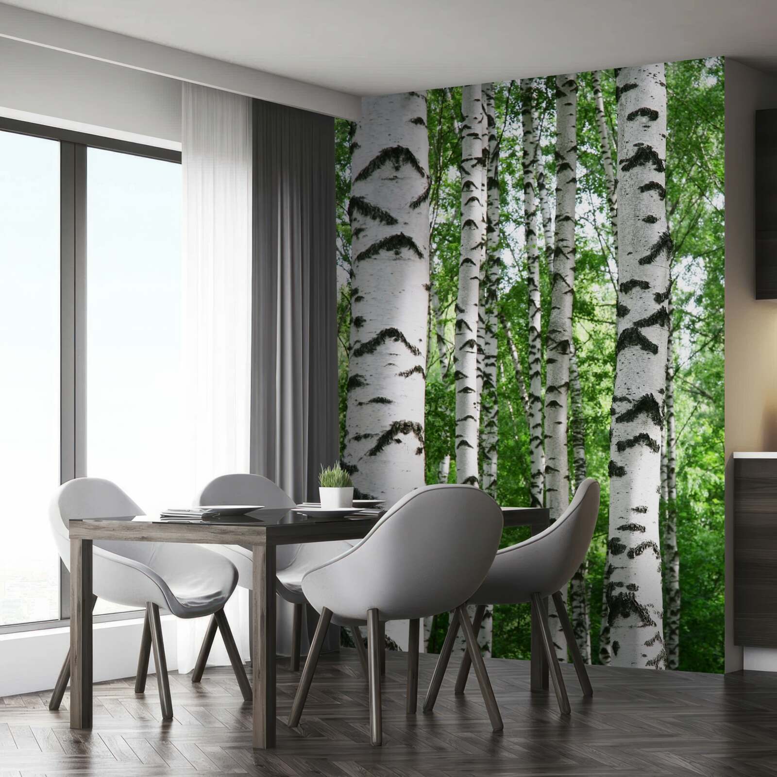 Papier peint des rangées de bouleaux élancés