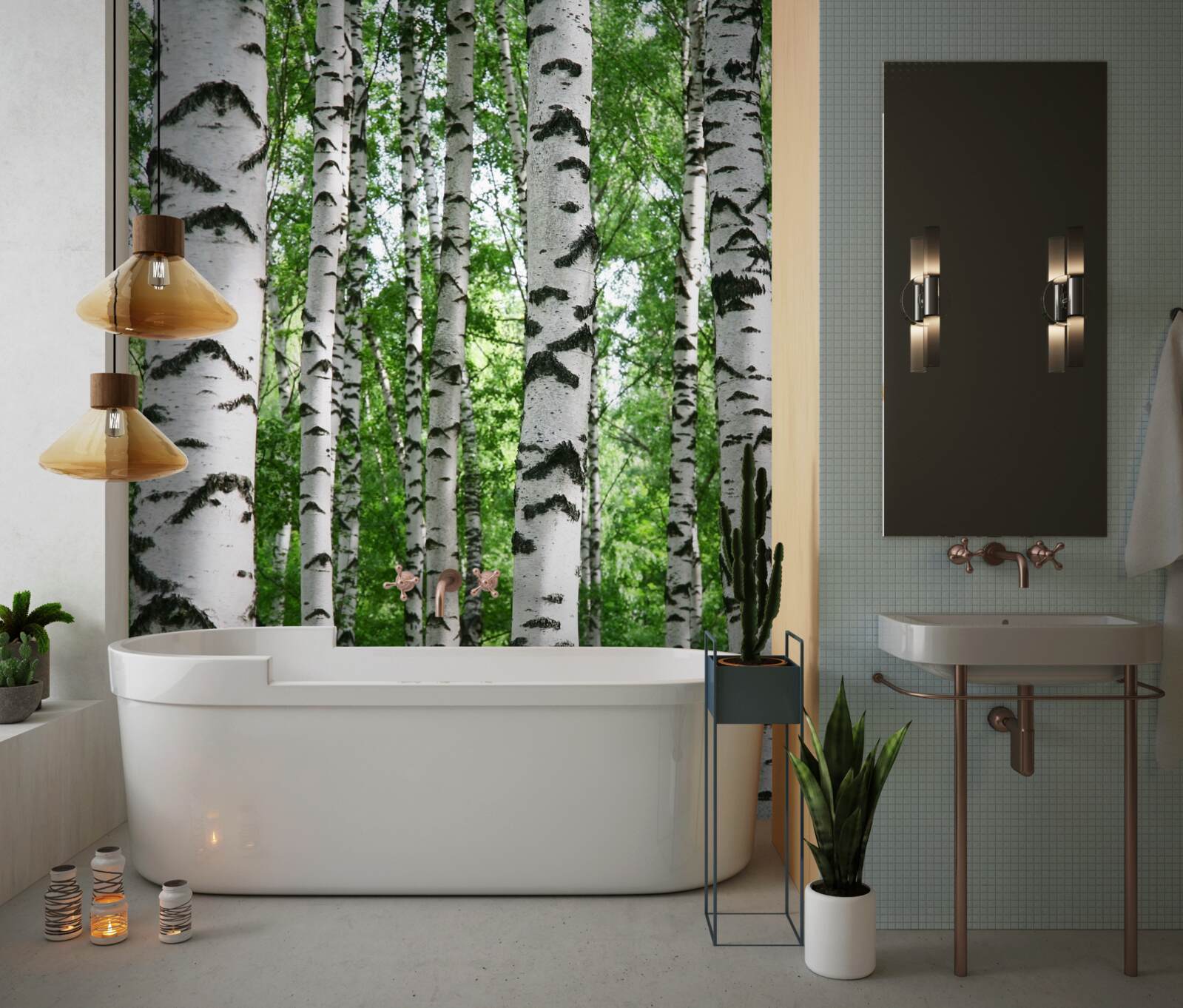 Papier peint des rangées de bouleaux élancés