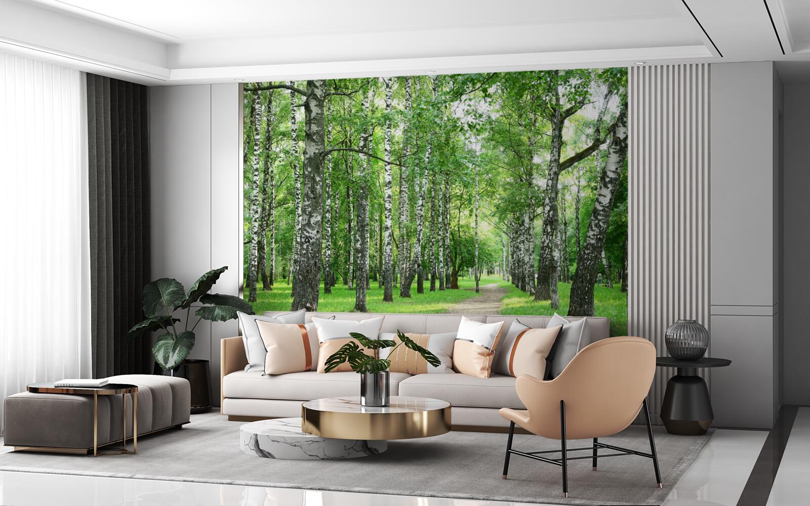 Papier peint chemin menant au bosquet