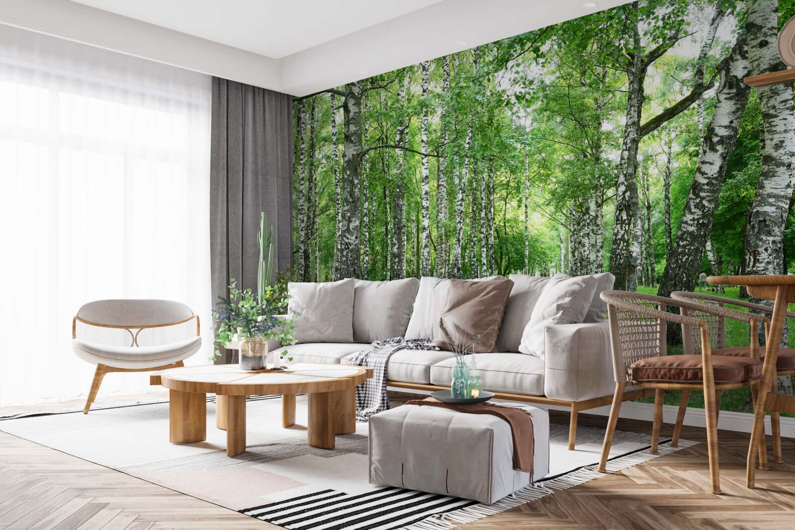 Papier peint chemin menant au bosquet