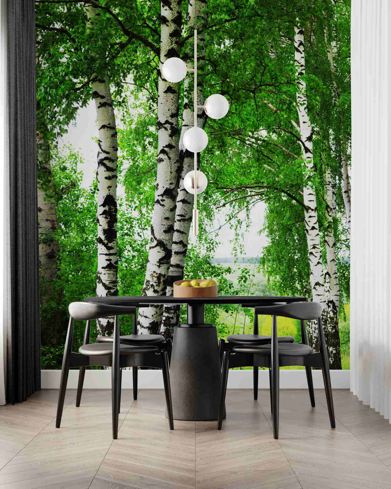 Papier peint un bosquet de bouleaux dans une clairière