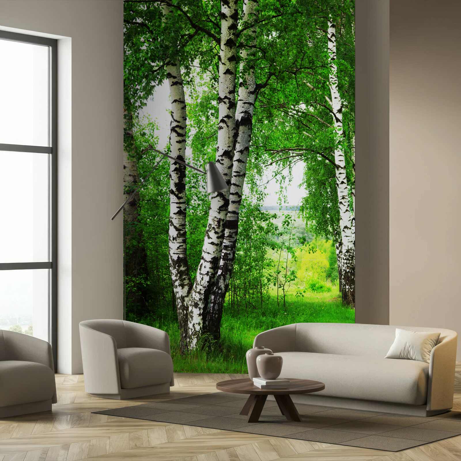Papier peint un bosquet de bouleaux dans une clairière
