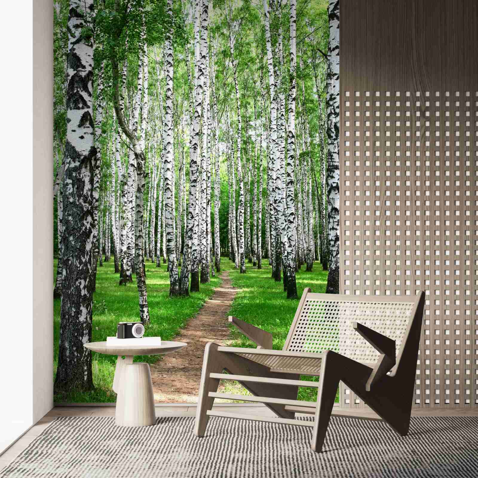 Papier peint chemin entre les bouleaux