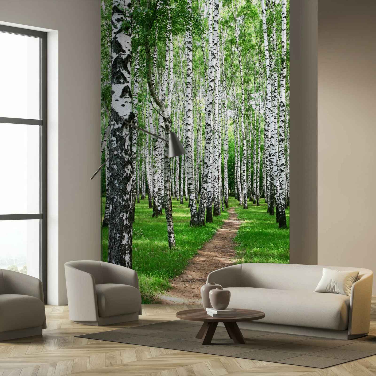 Papier peint chemin entre les bouleaux
