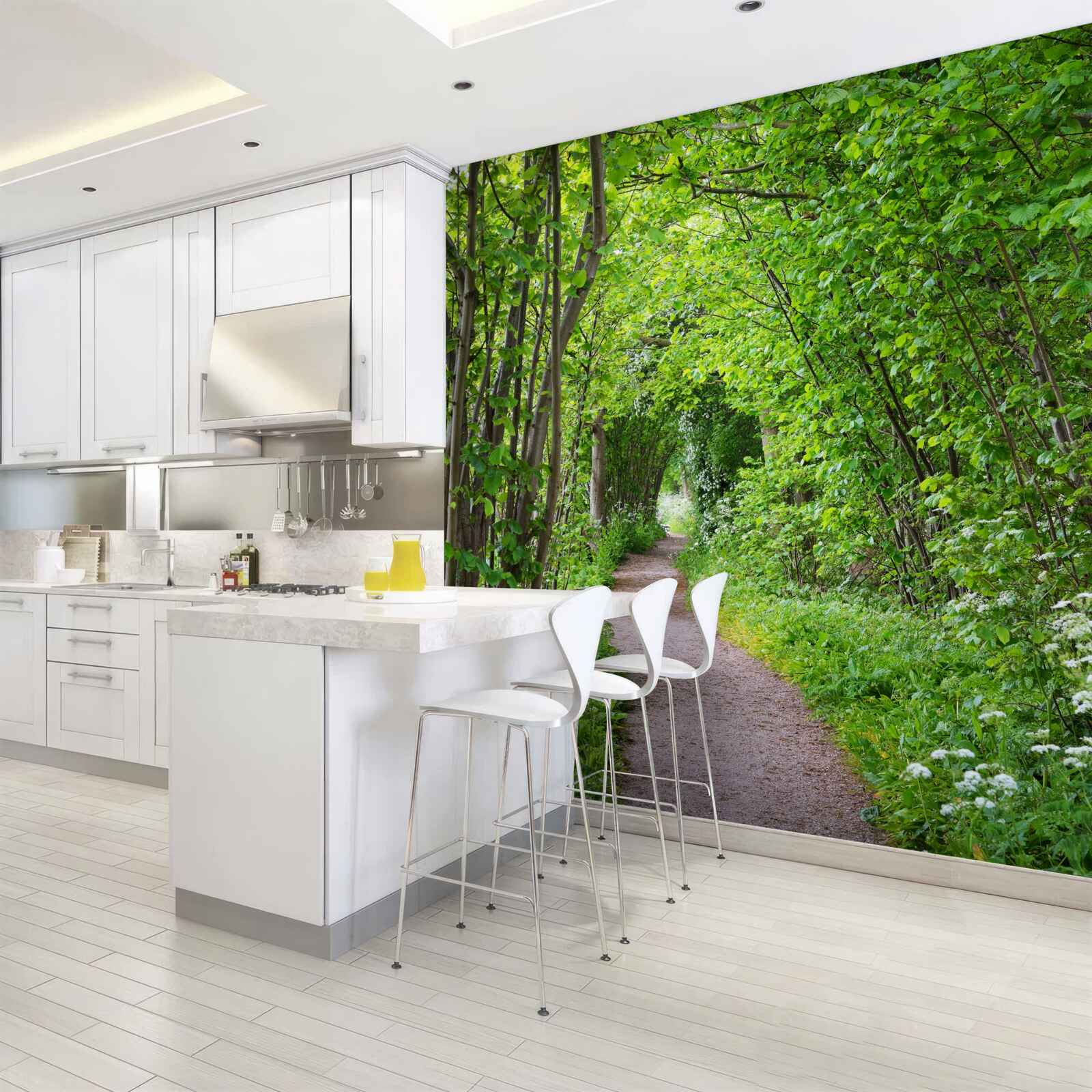 Papier peint chemin à travers la forêt dense d'émeraude