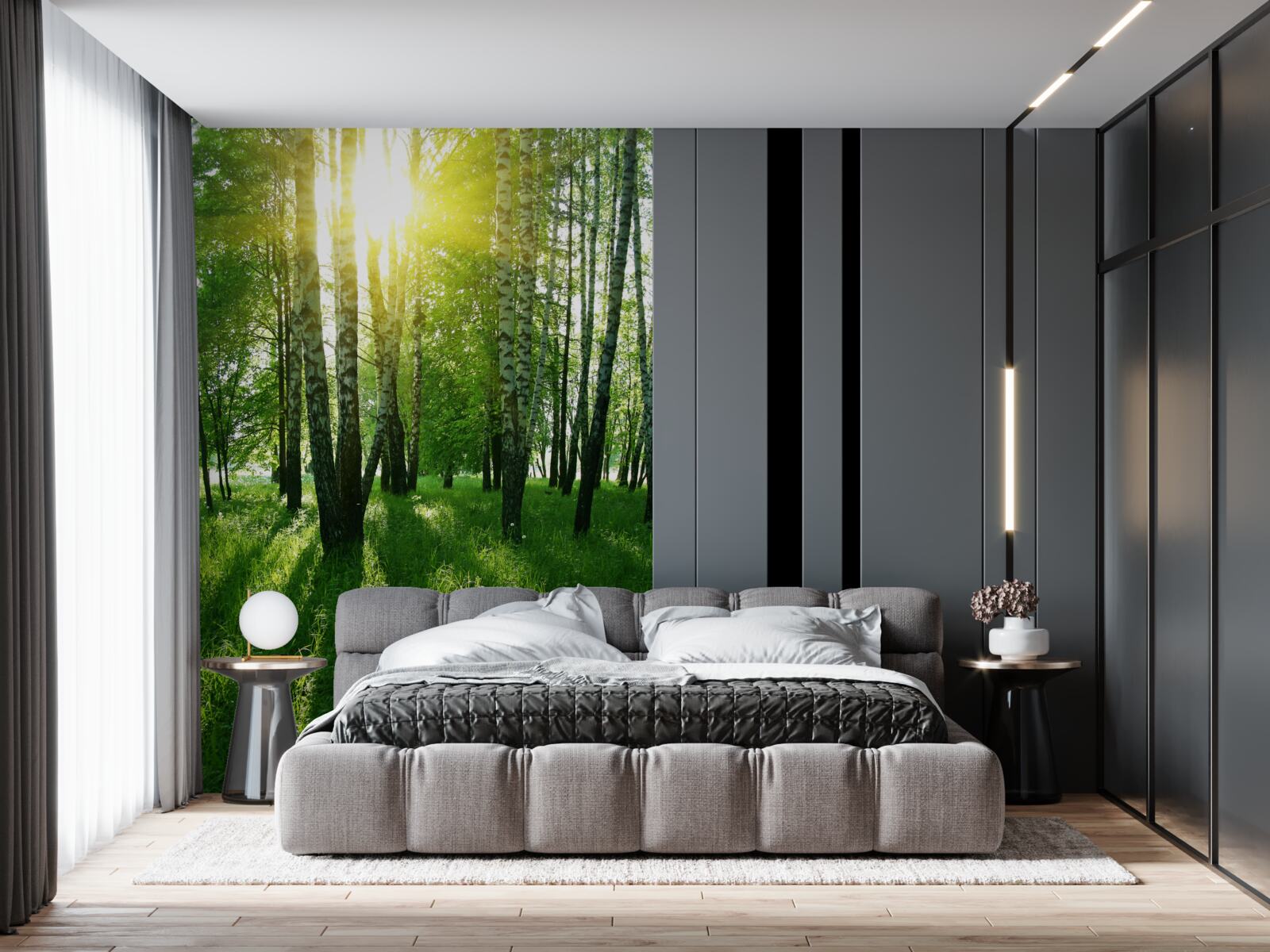 Papier peint matinée dans la forêt