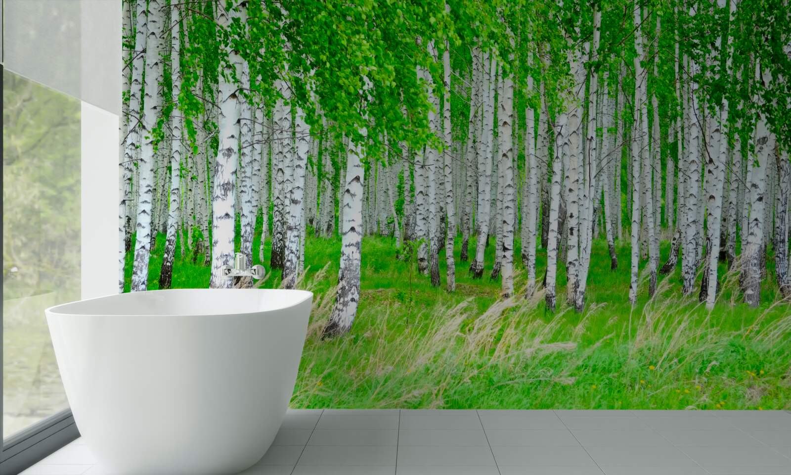 Papier peint champ avec des bouleaux en arrière-plan