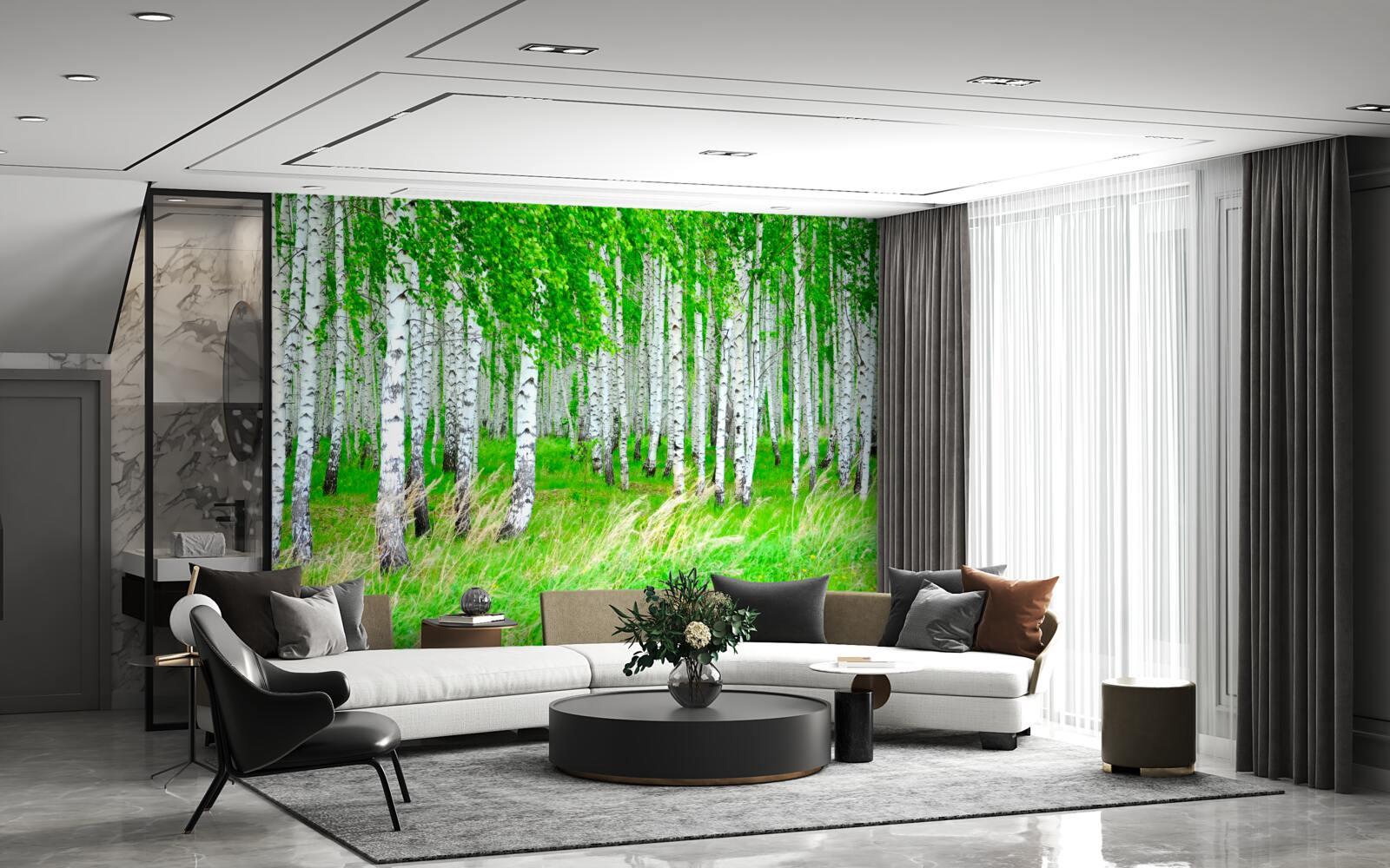 Papier peint champ avec des bouleaux en arrière-plan