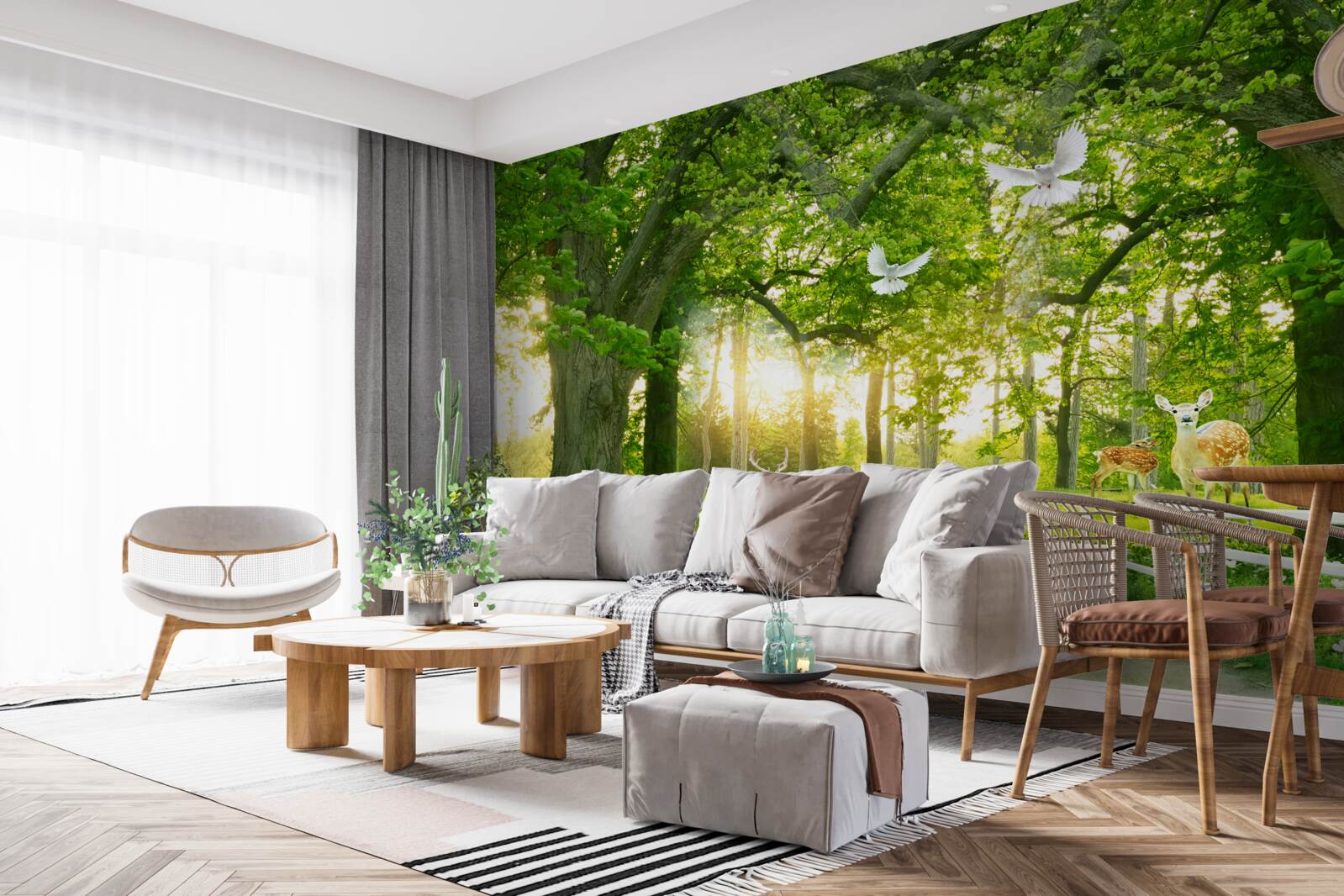 Papier peint un chemin pour des promenades romantiques