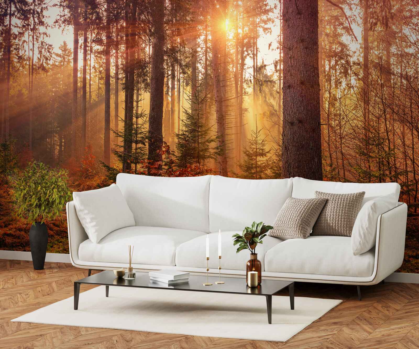 Papier peint forêt en automne illuminée par les rayons du soleil