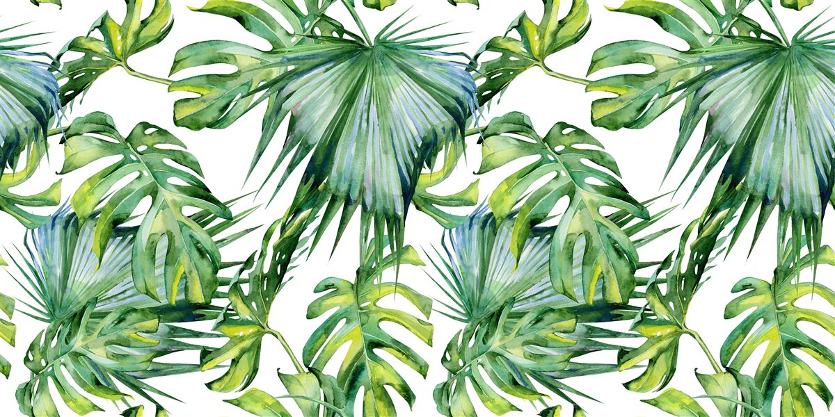 Papier peint grande variété de plantes vertes