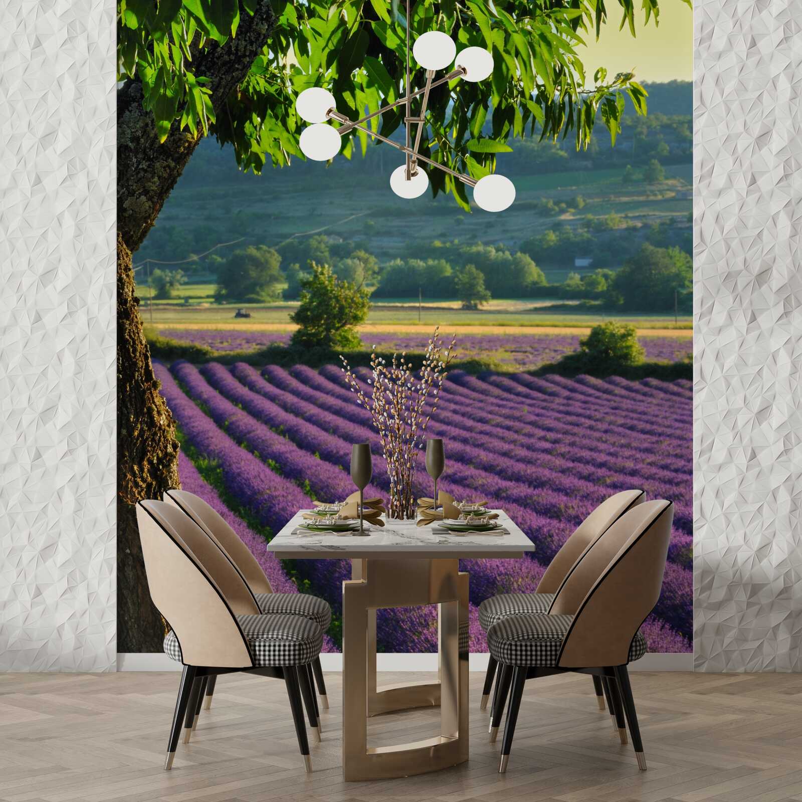 Papier peint un champ parfumé de lavande