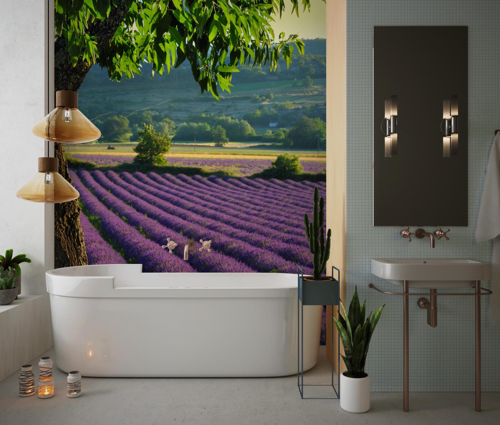 Papier peint un champ parfumé de lavande