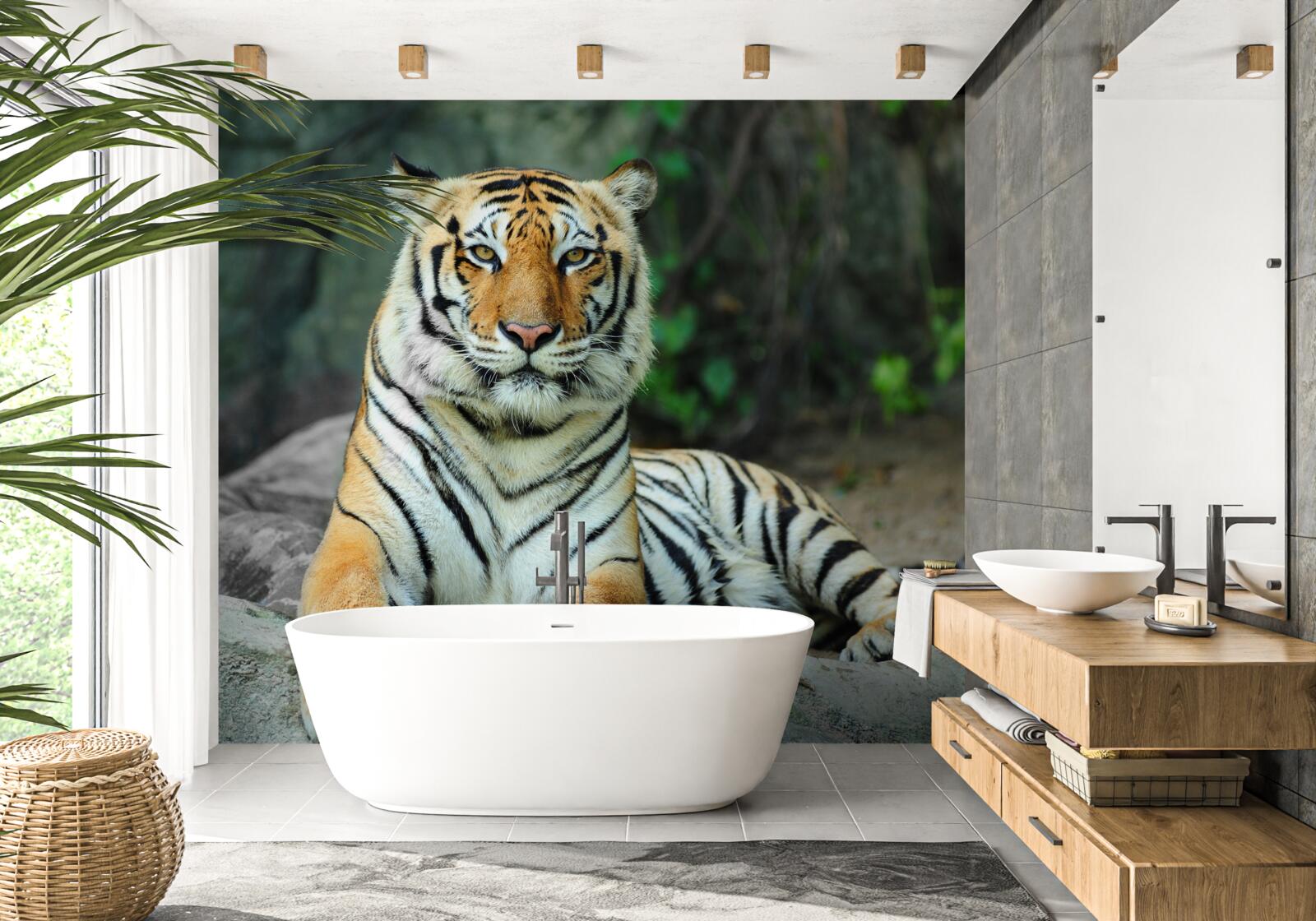 Papier peint beau tigre en vacances