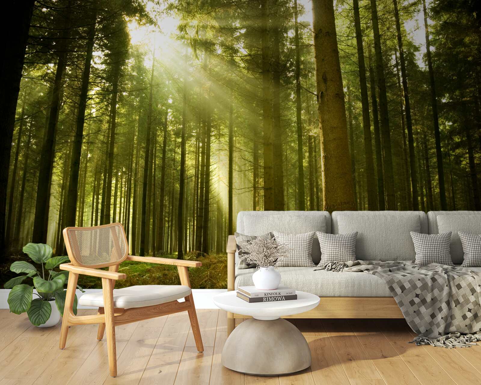 Papier peint les rayons du soleil illuminent la forêt