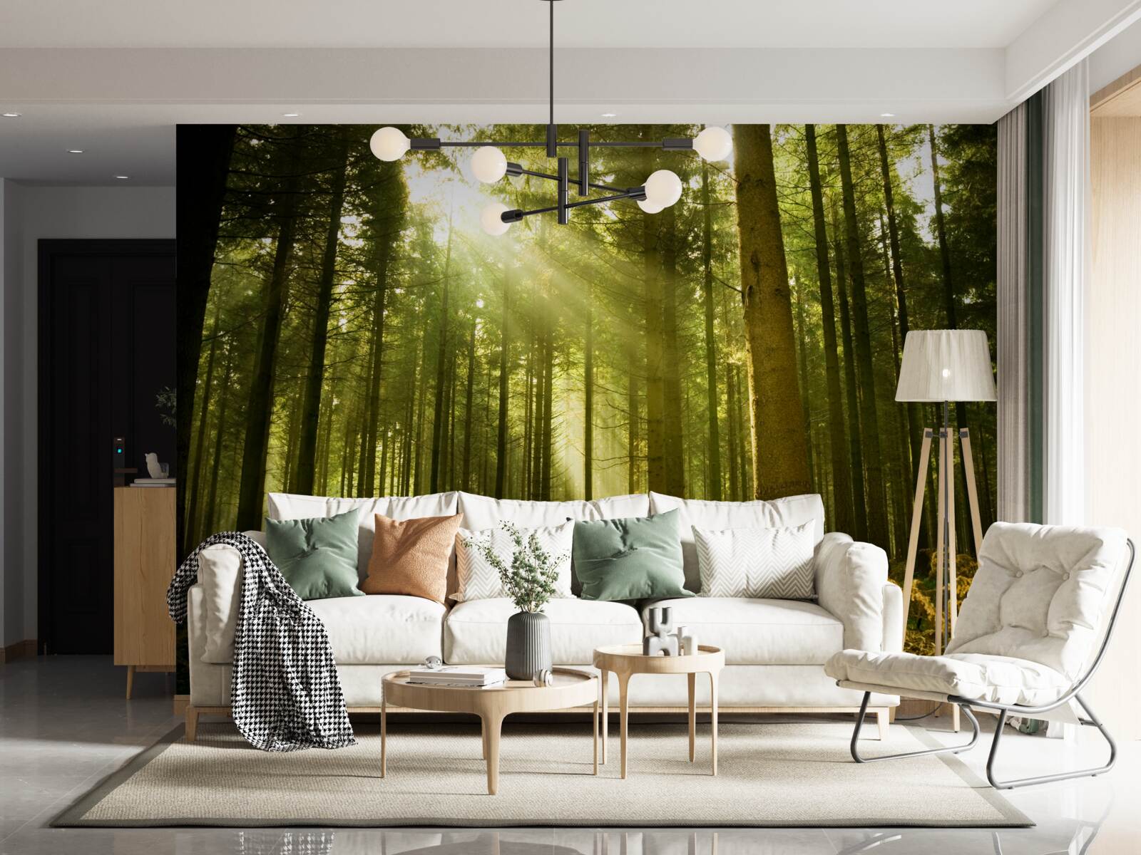 Papier peint les rayons du soleil illuminent la forêt