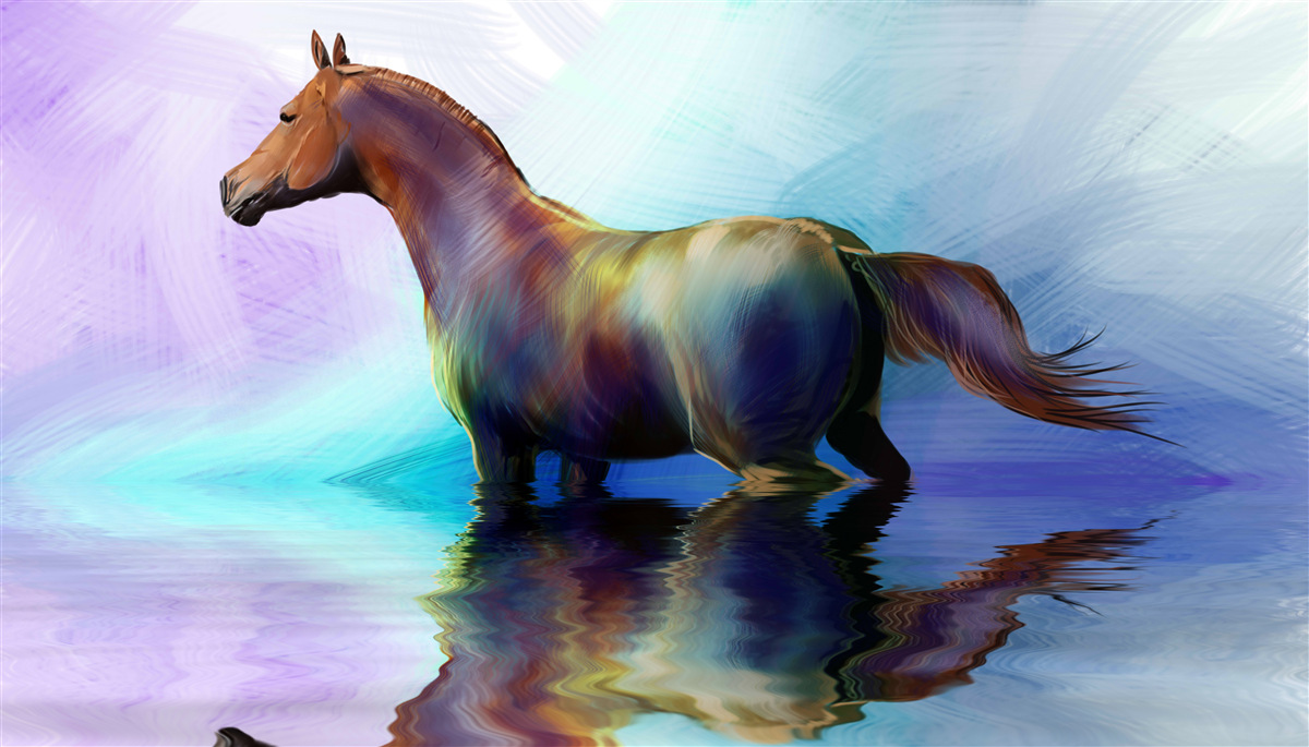 Papier peint le cheval est dans l'eau