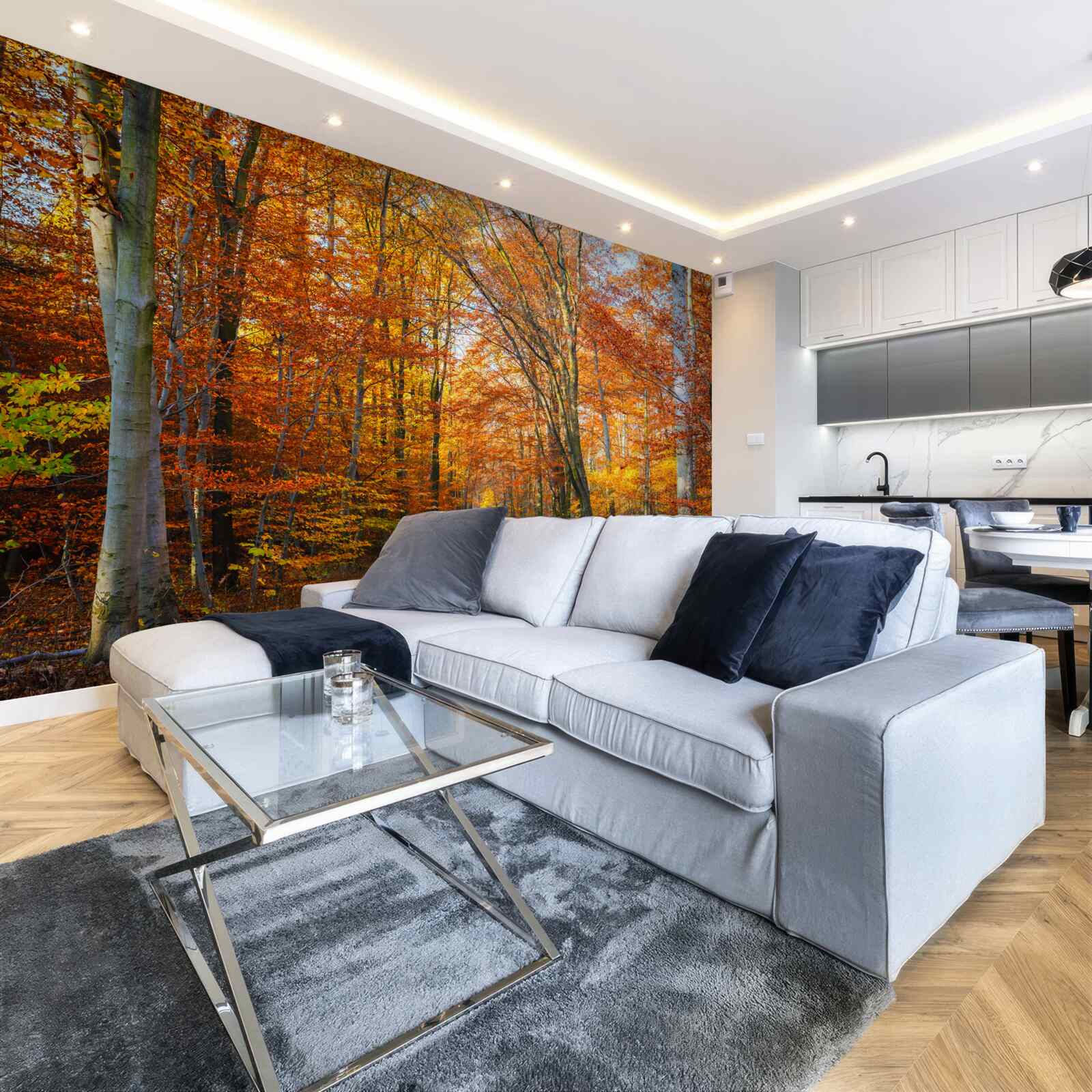 Papier peint arbres avec feuilles tombantes en automne