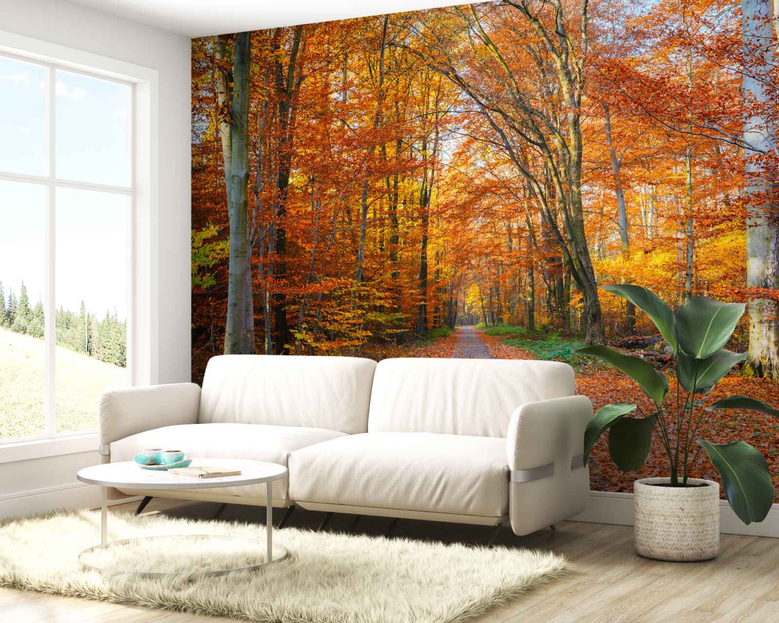 Papier peint arbres avec feuilles tombantes en automne