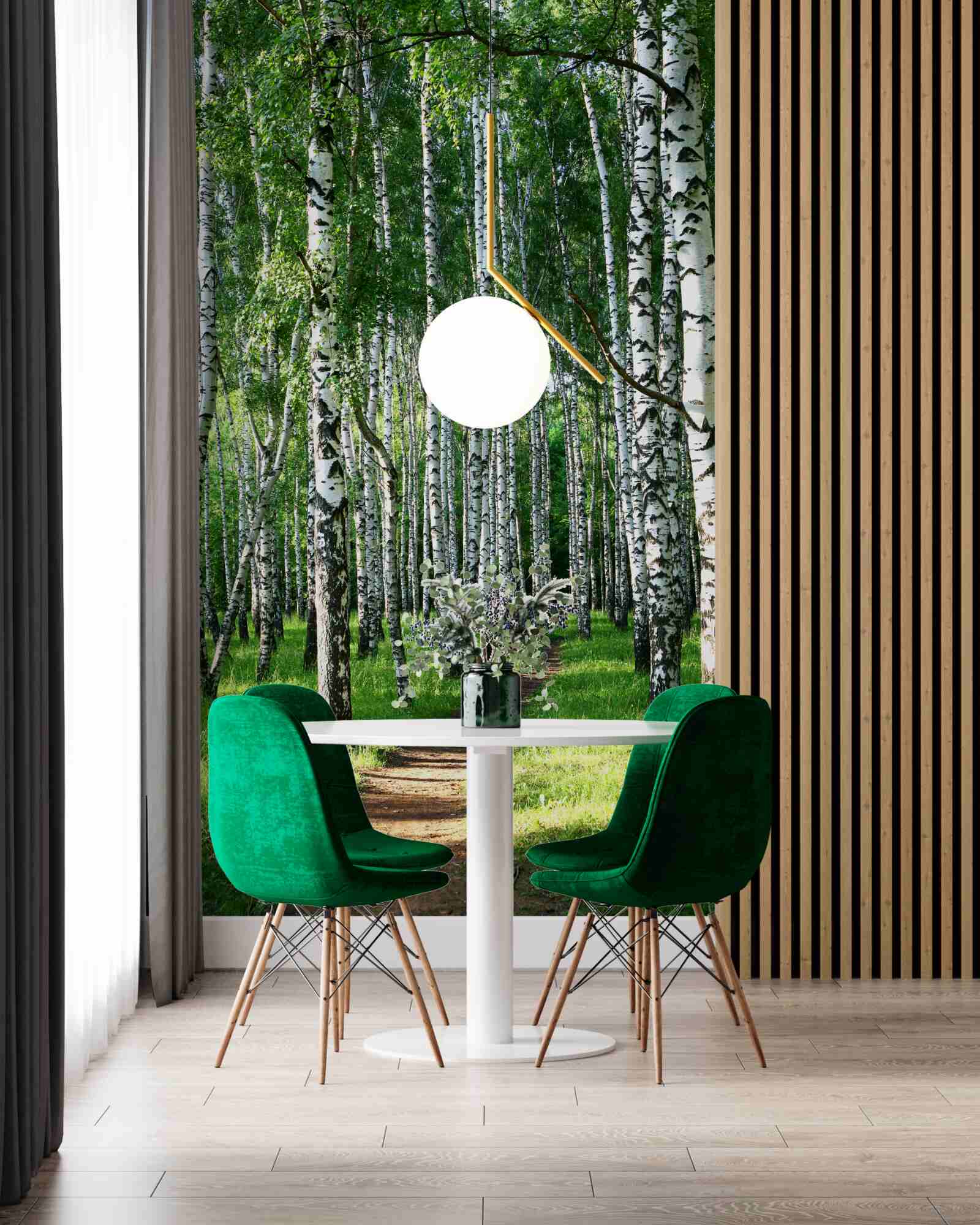 Papier peint chemin à travers un bosquet de bouleaux